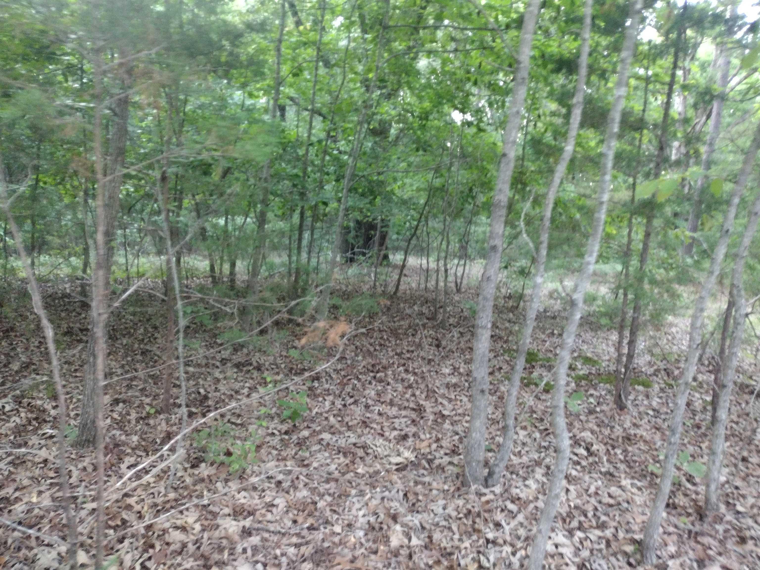 Tract 3 Alamo Dr Property Photo 11