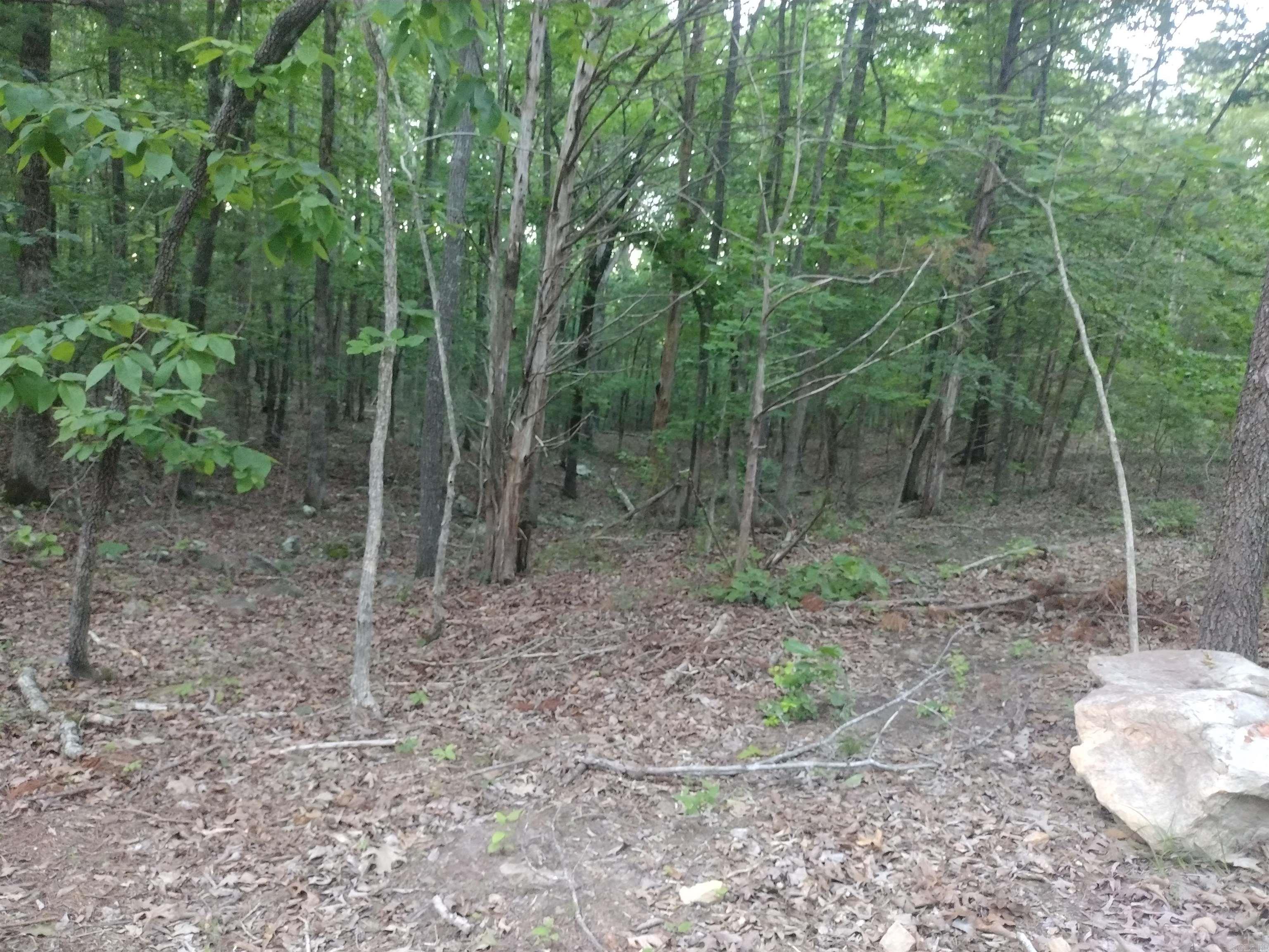 Tract 3 Alamo Dr Property Photo 12