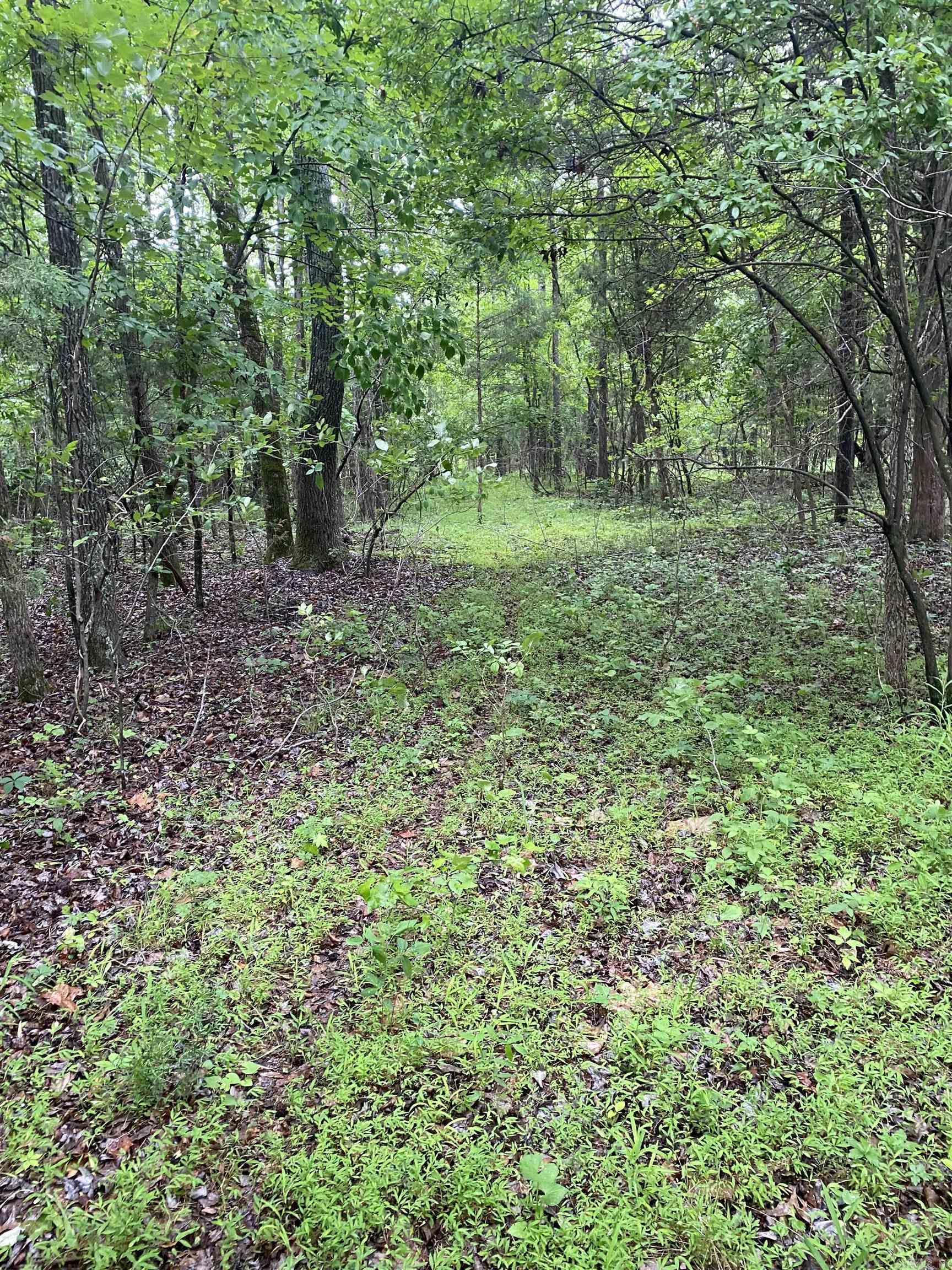 10 Acres County Road 326 Property Photo 6
