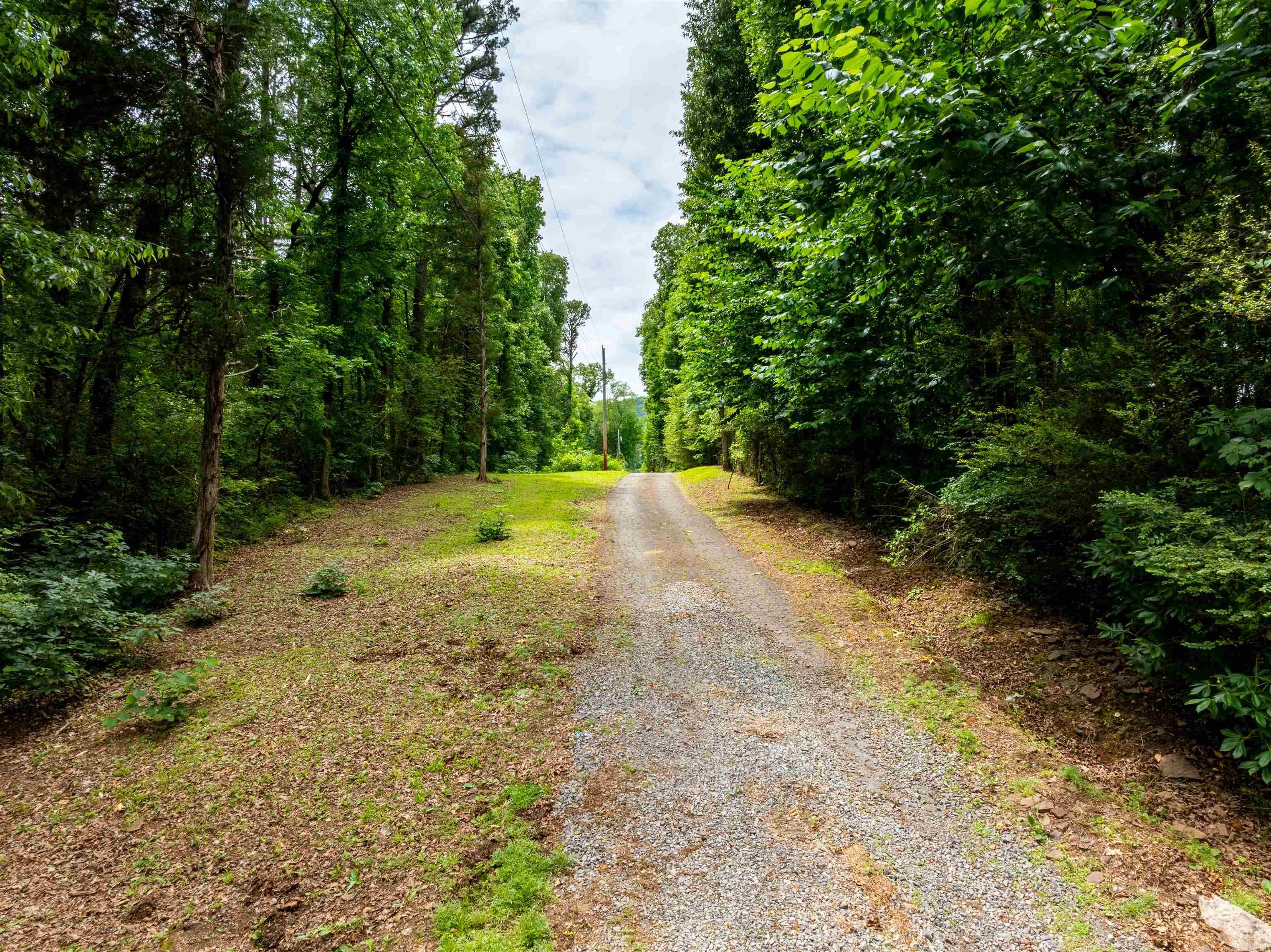 0 Highway 65 Property Photo 2