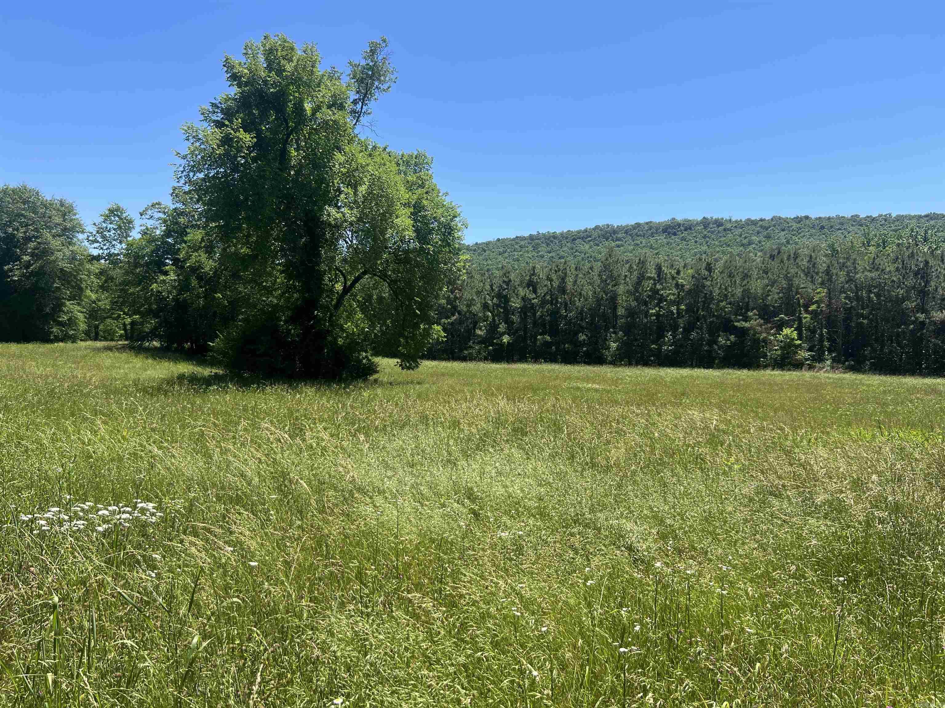 13535 Harkey Valley Road Property Photo 2