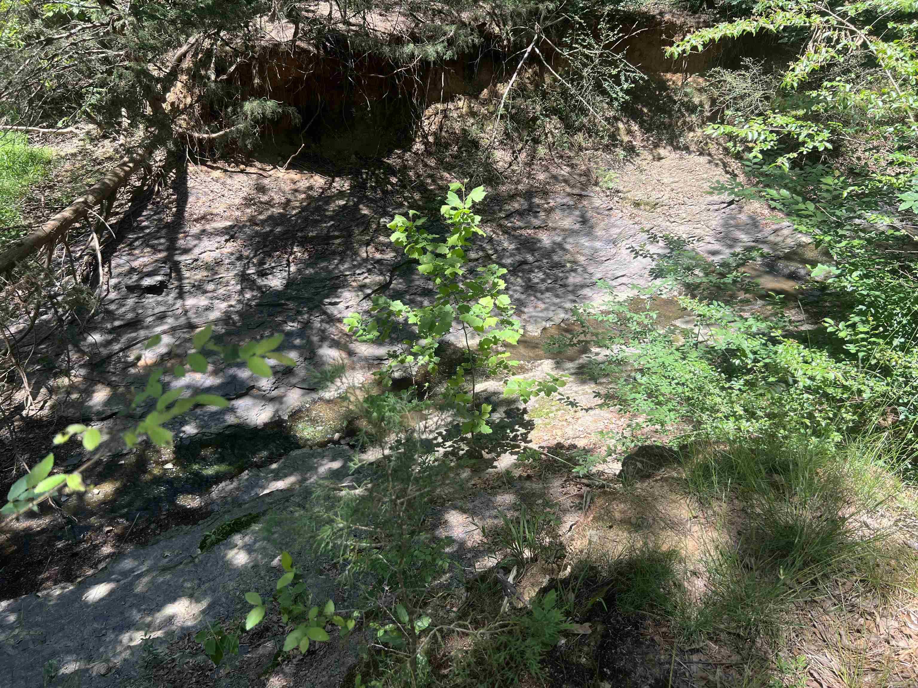 13535 Harkey Valley Road Property Photo 7