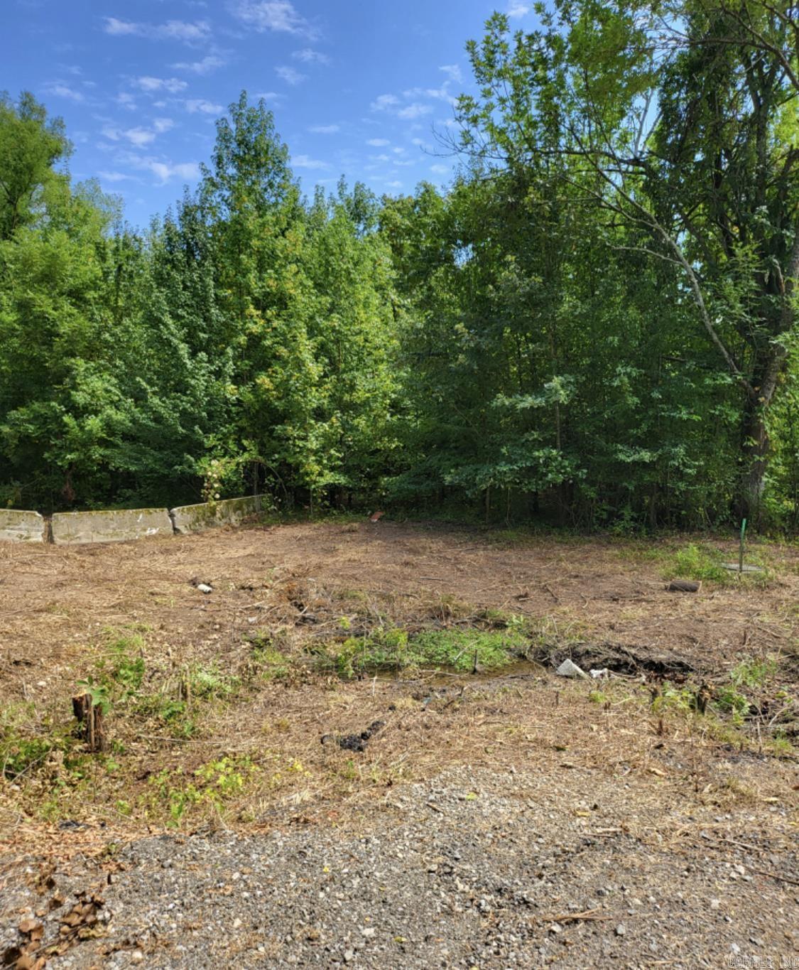 Tract B Alexander Road Property Photo 16