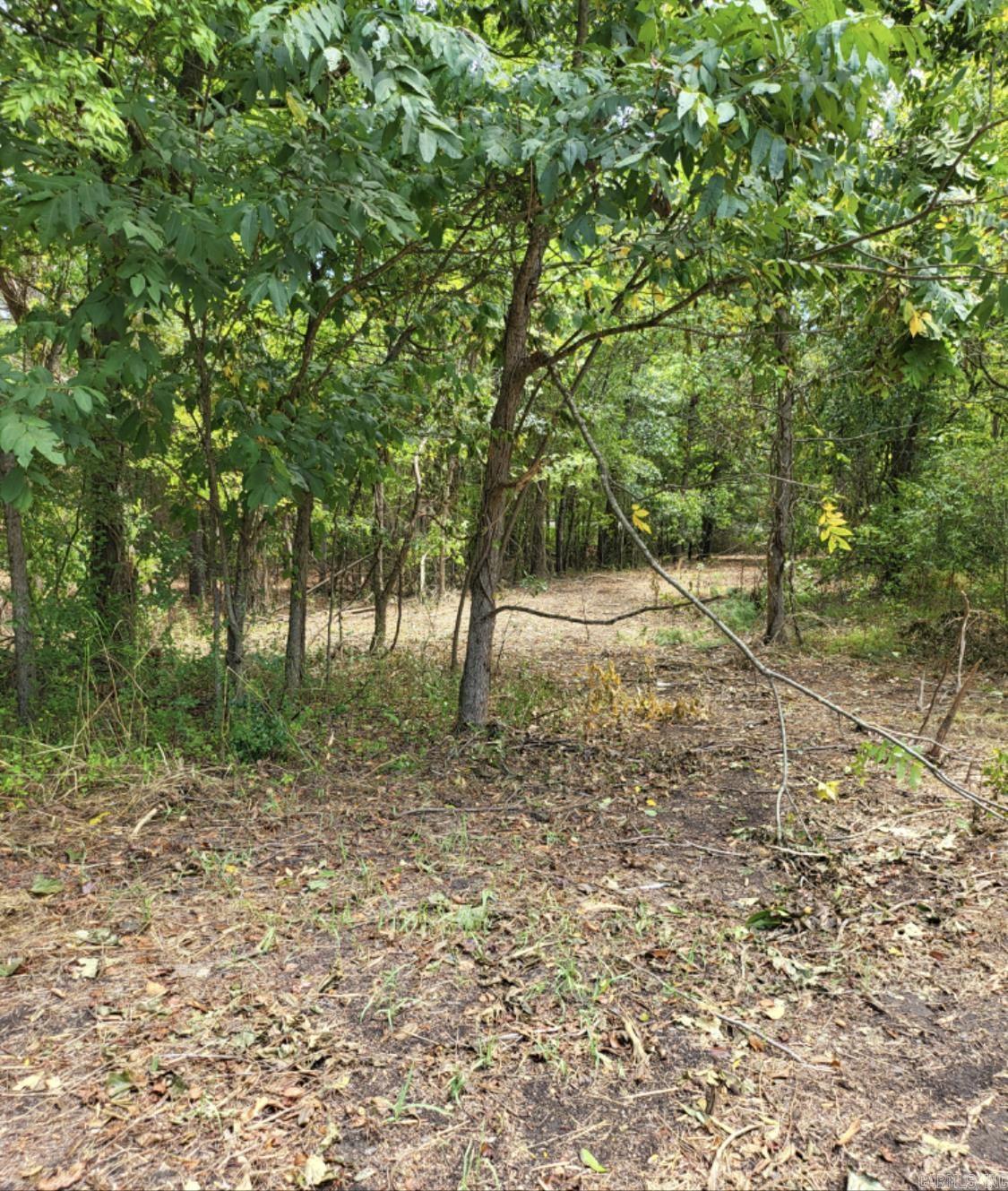 Tract B Alexander Road Property Photo 30