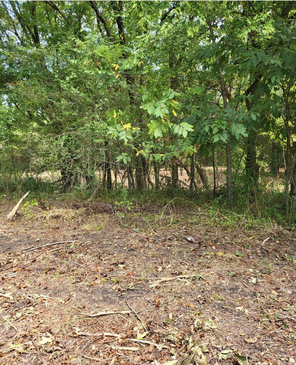 Tract B Alexander Road Property Photo 33