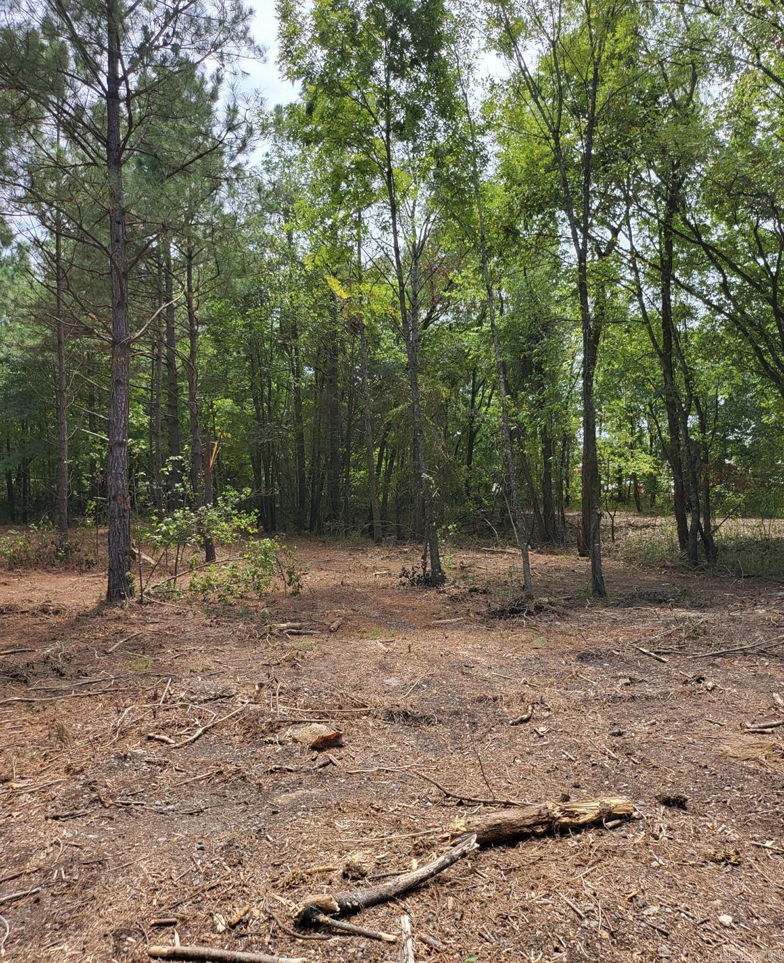 Tract B Alexander Road Property Photo 36