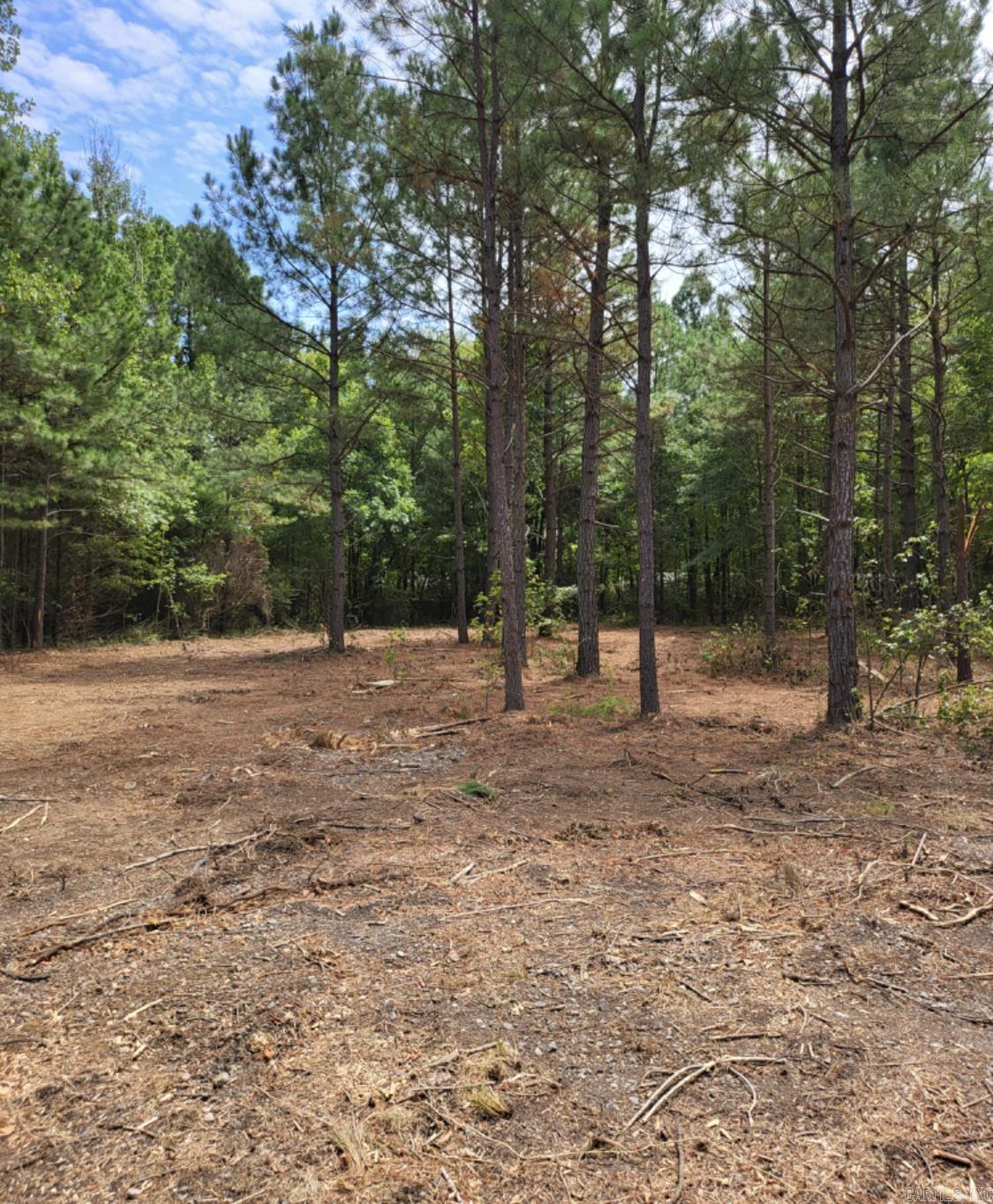 Tract B Alexander Road Property Photo 37