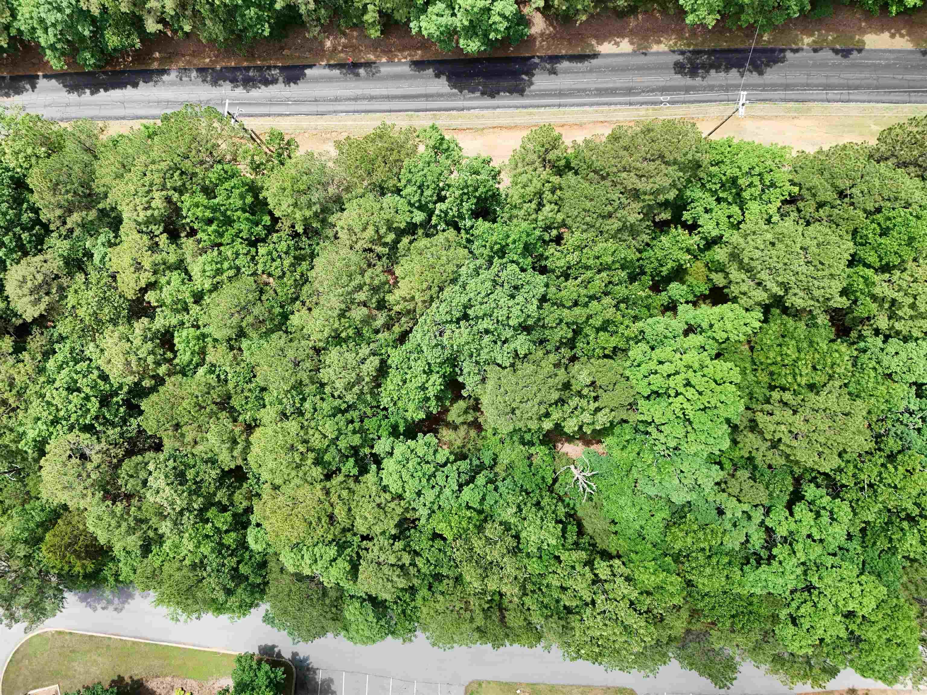 Lot 25 Dave Creek Parkway Property Photo 4