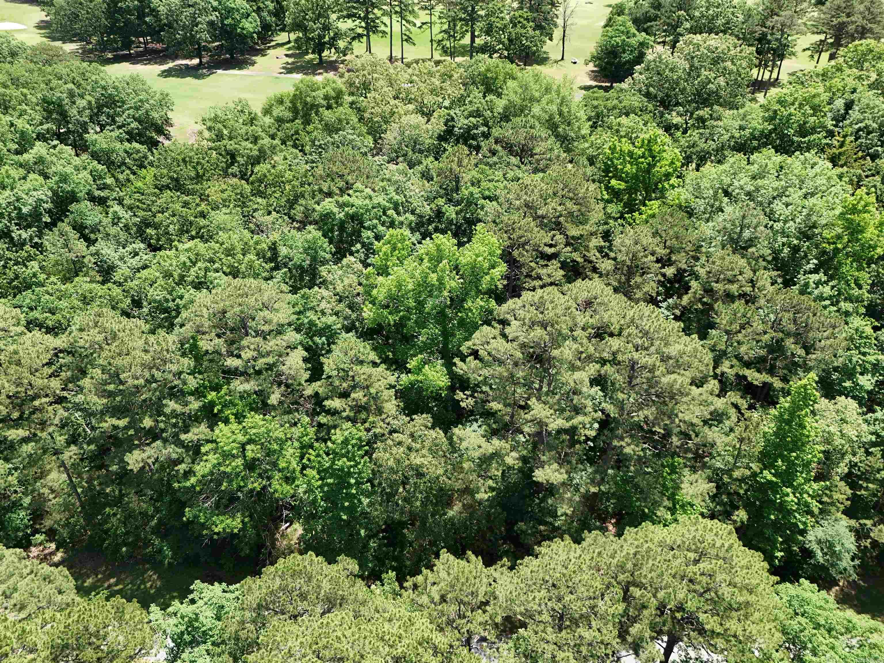 Lot 8 Mountain Ranch Drive Property Photo 2