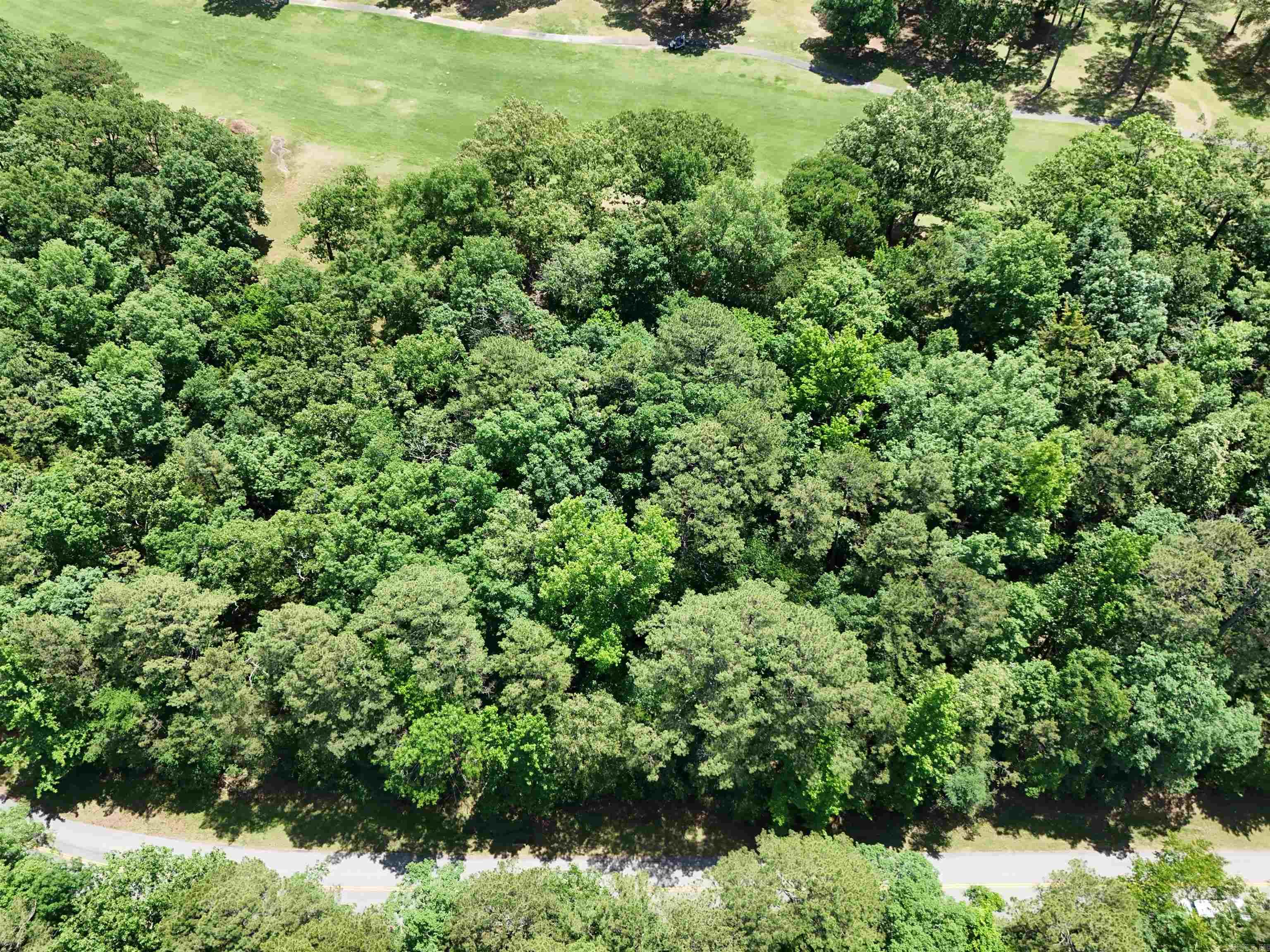 Lot 8 Mountain Ranch Drive Property Photo 3