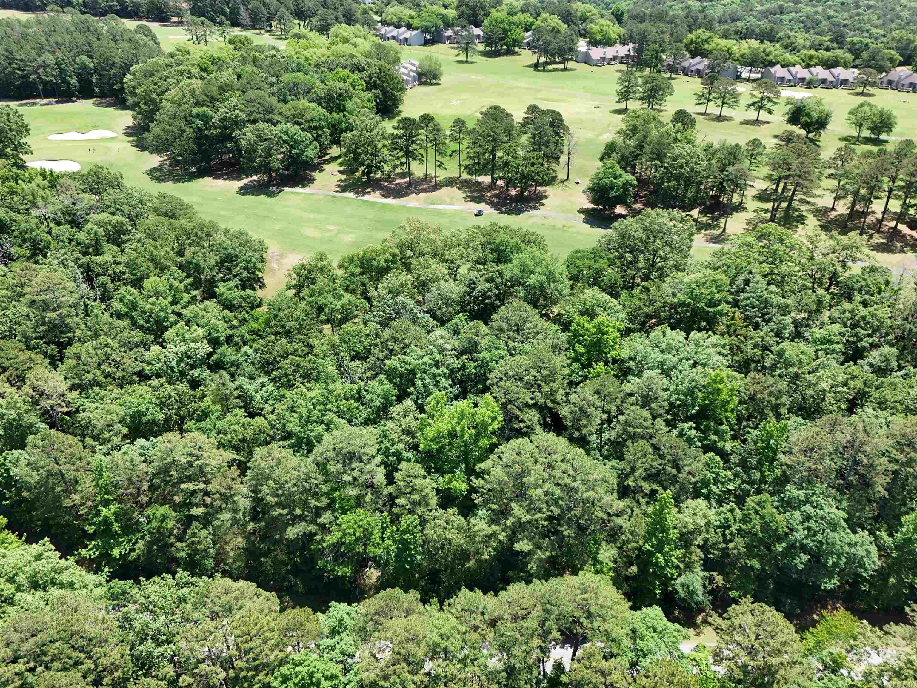 Lot 8 Mountain Ranch Drive Property Photo 4