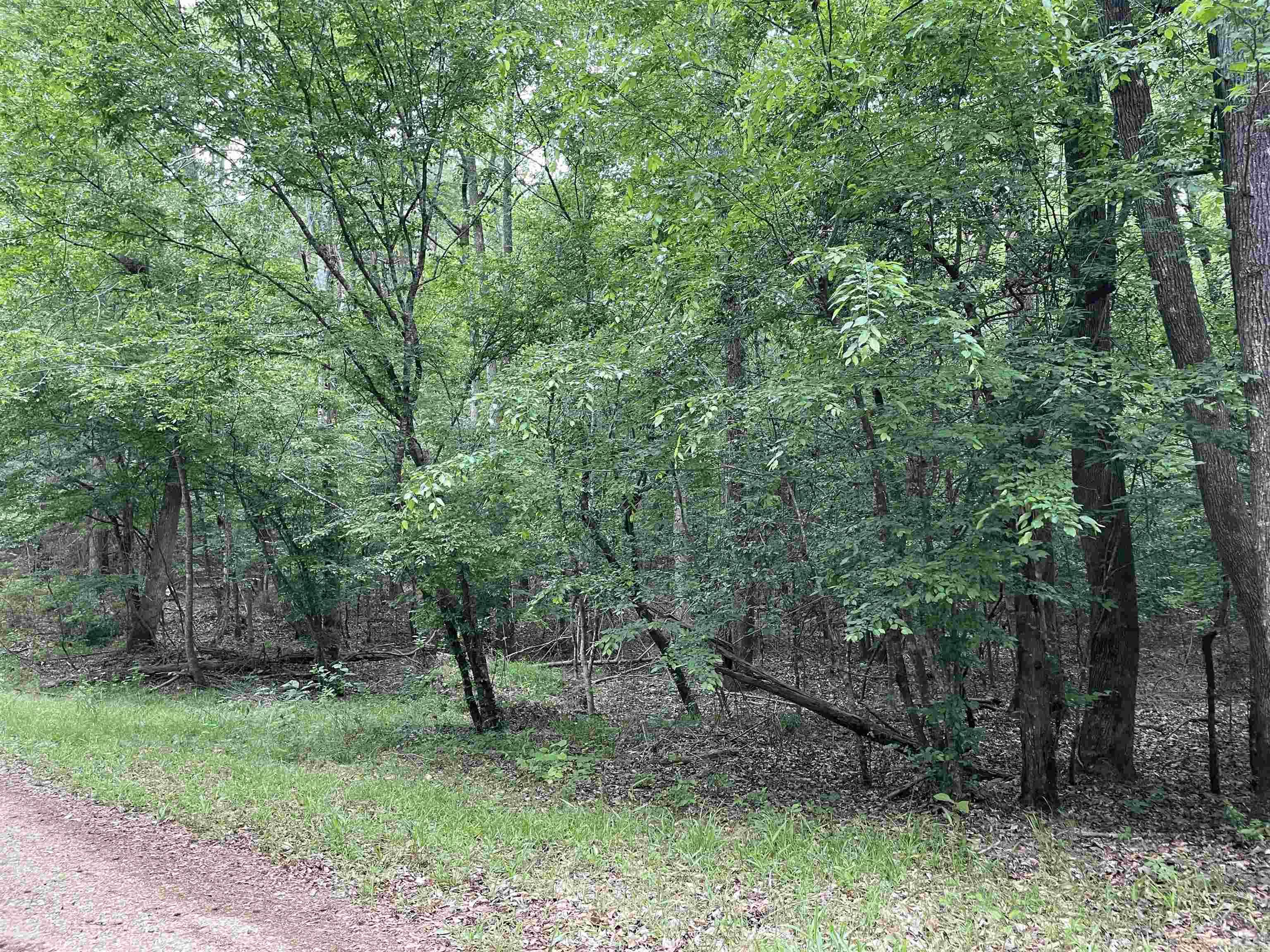 Melanie Lane Property Photo 1