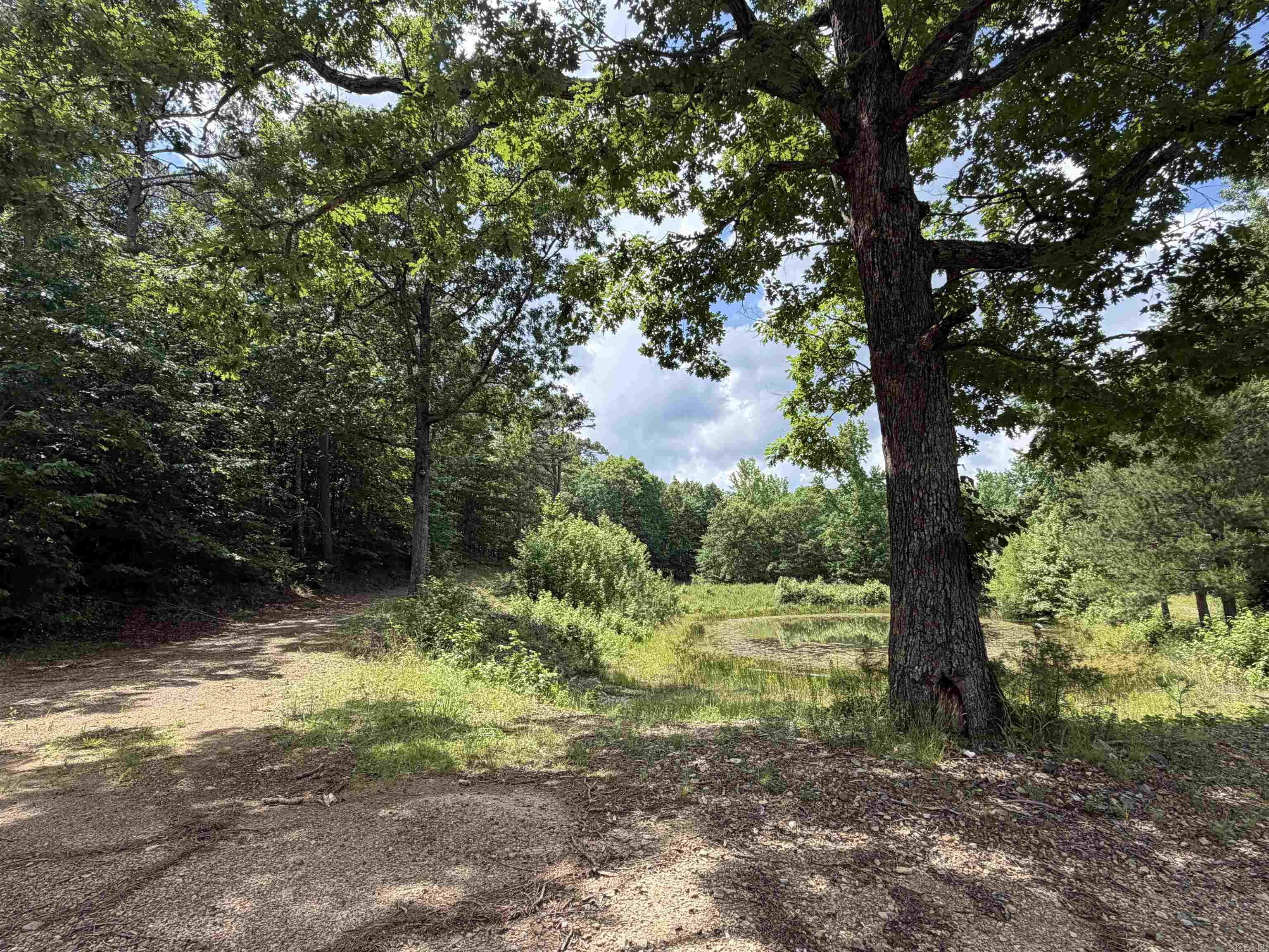 153 Wenger Lane Property Photo 13