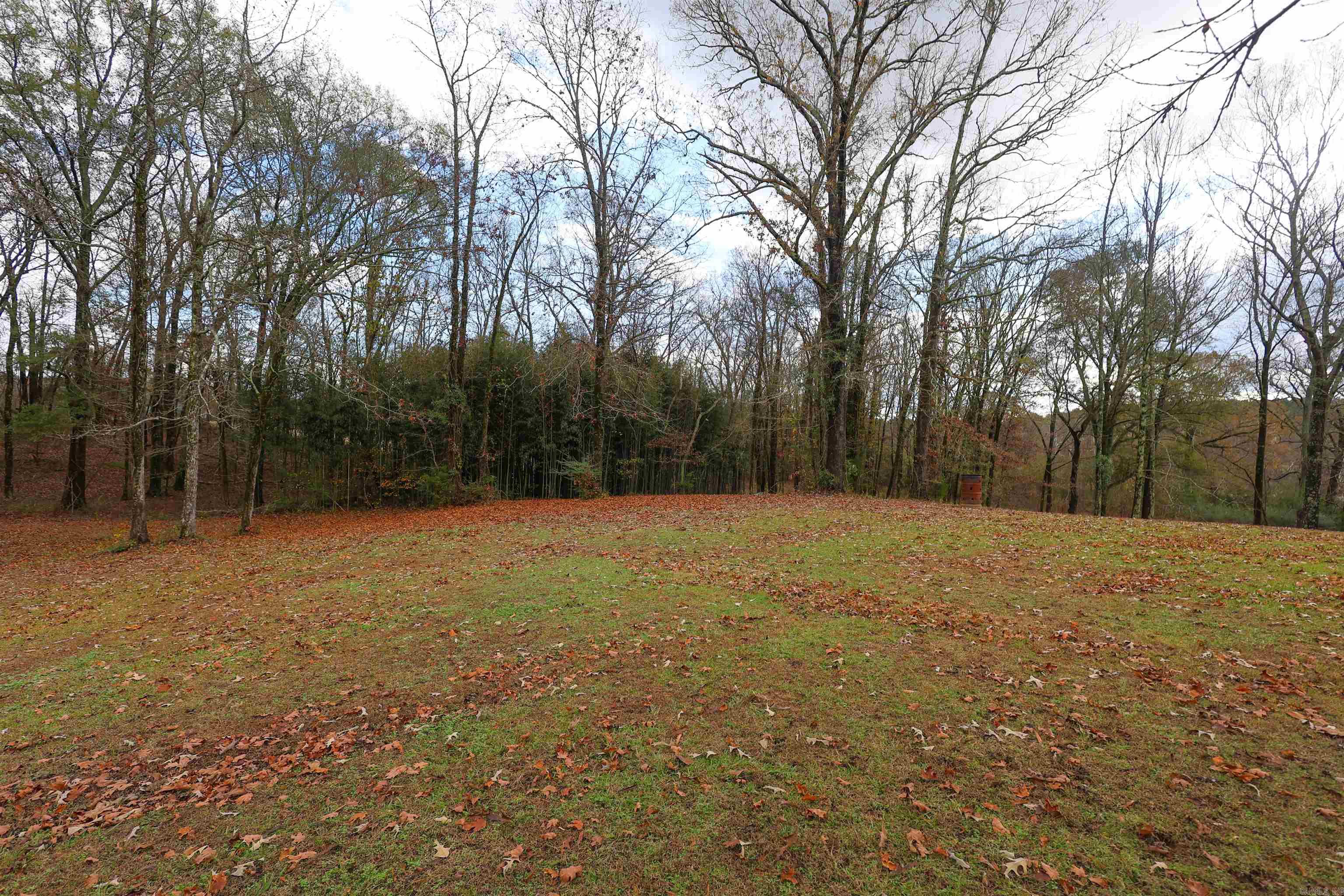 116 Loyd Cogburn Road Property Photo 36