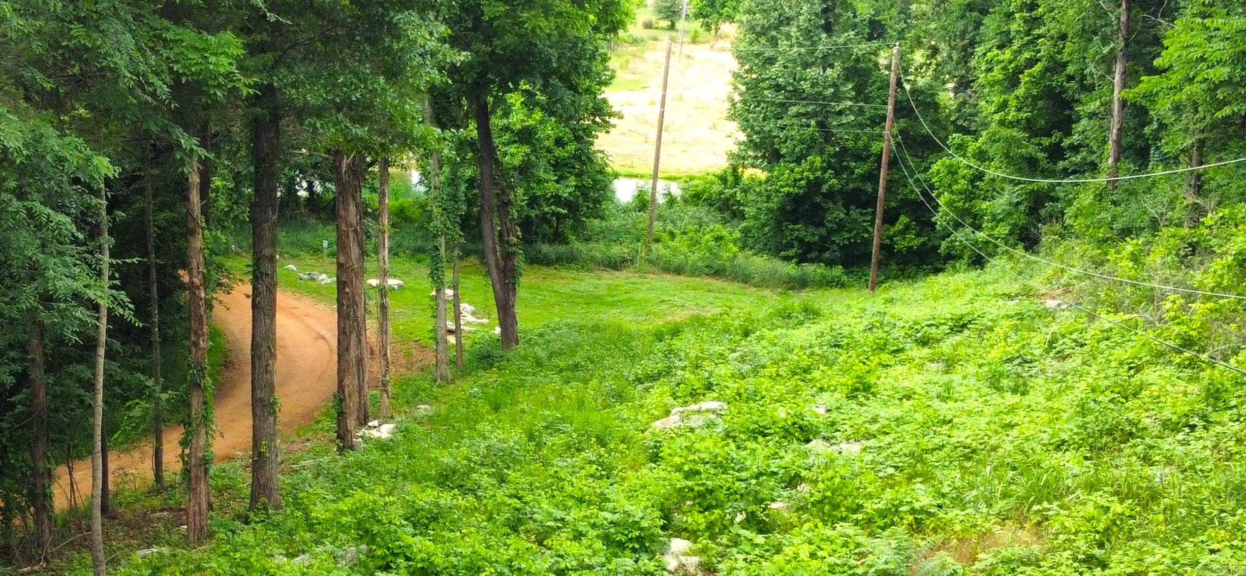 232 Double Bridge Loop Property Photo 16