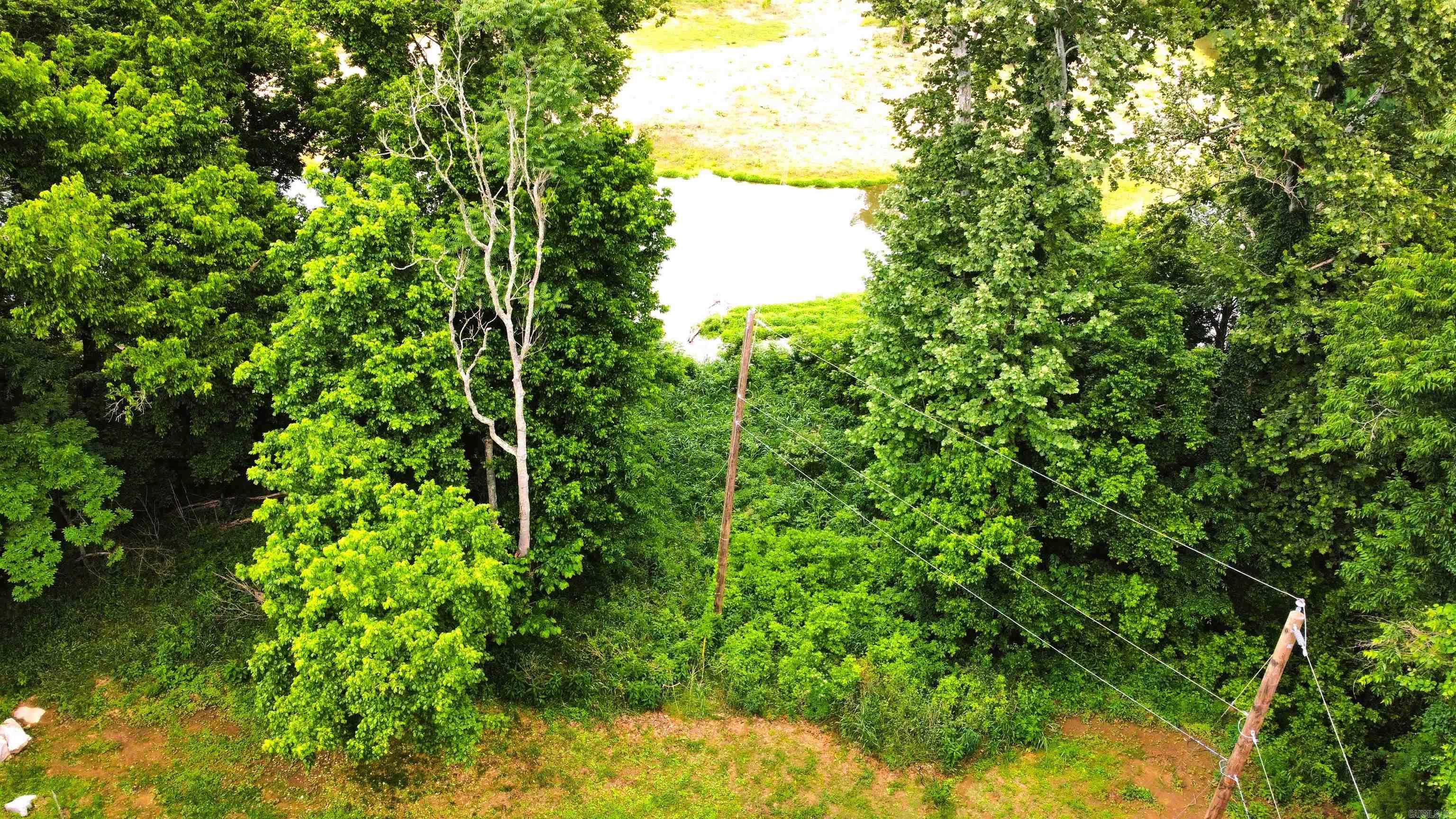 232 Double Bridge Loop Property Photo 17