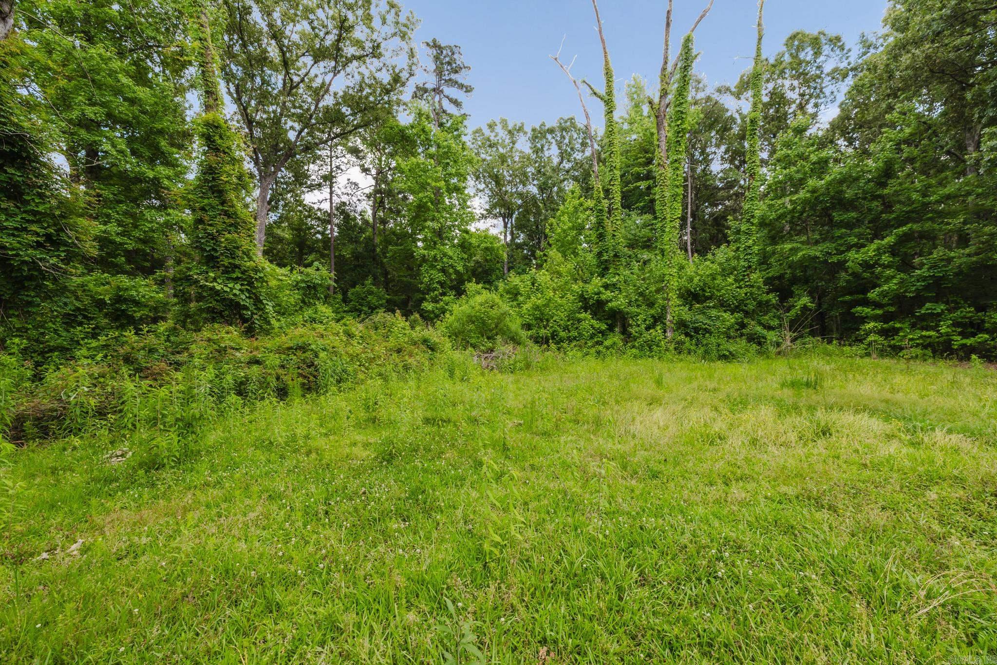 8507 Benmor Dr Property Photo 36