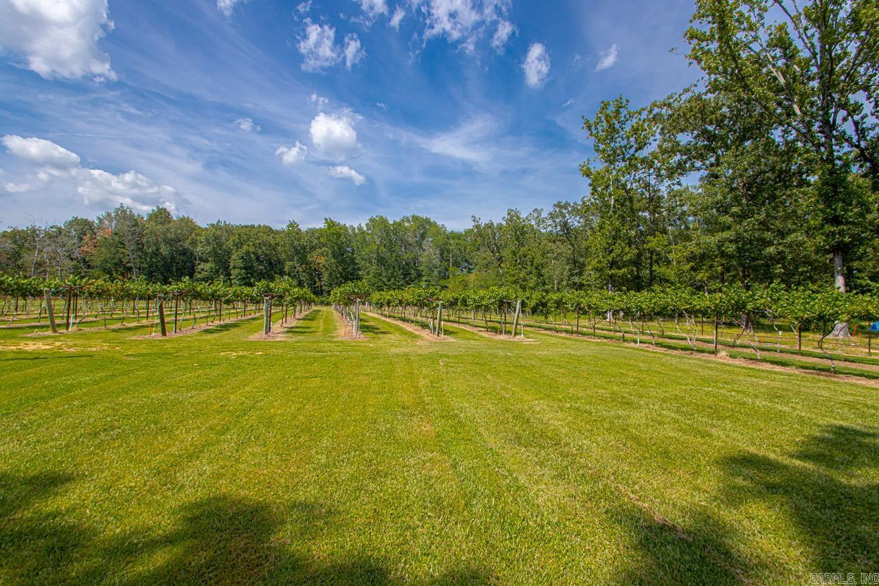 42 Oakwood Drive Property Photo 49