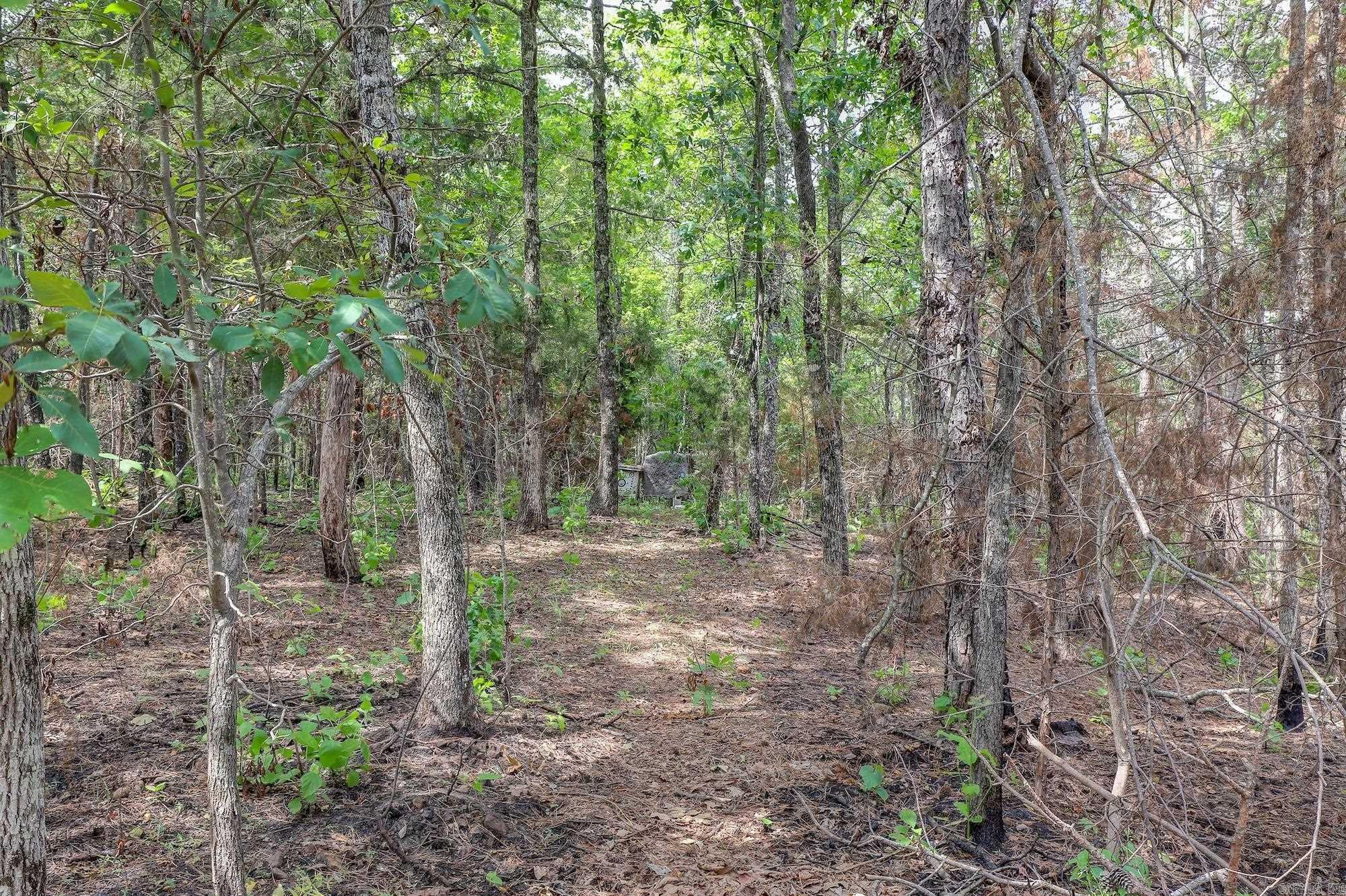 485 Elam Property Photo 31
