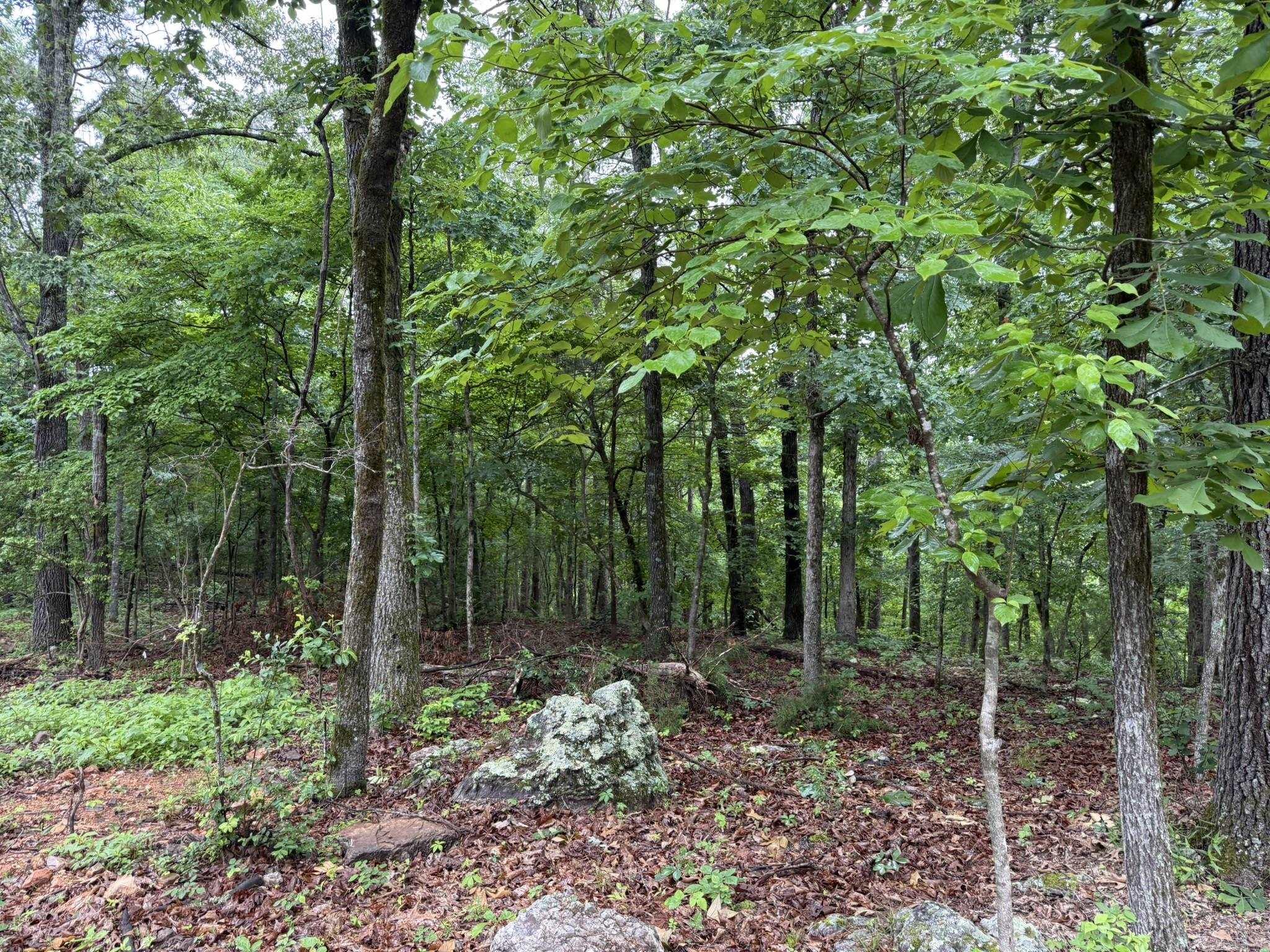 37 Tall Pine Circle Property Photo 1