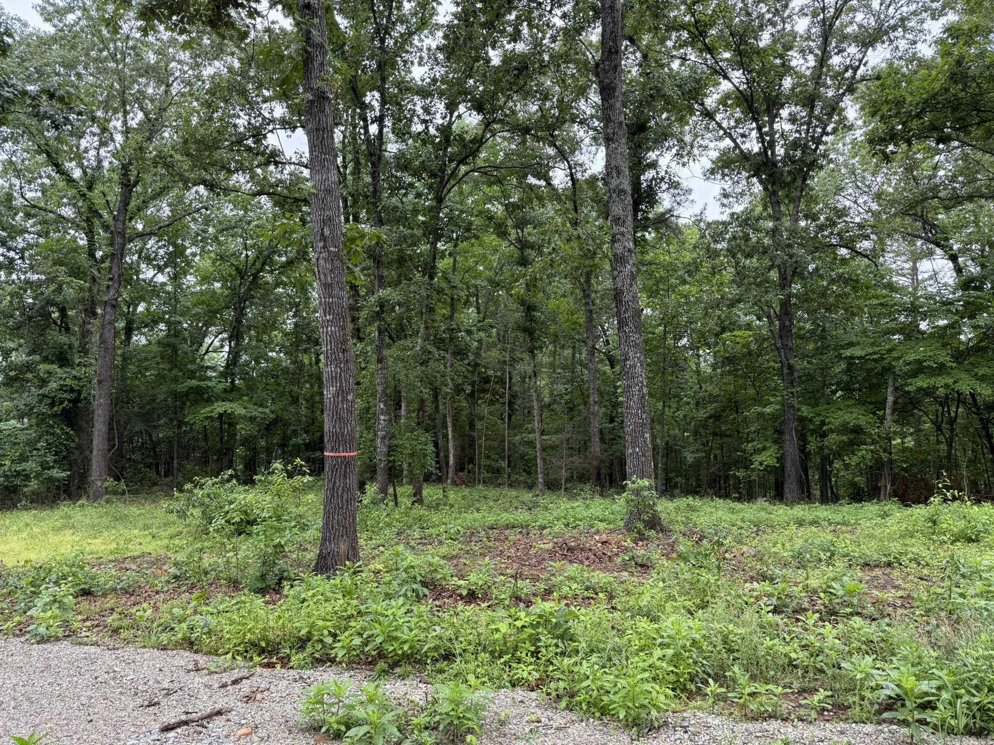 37 Tall Pine Circle Property Photo 2