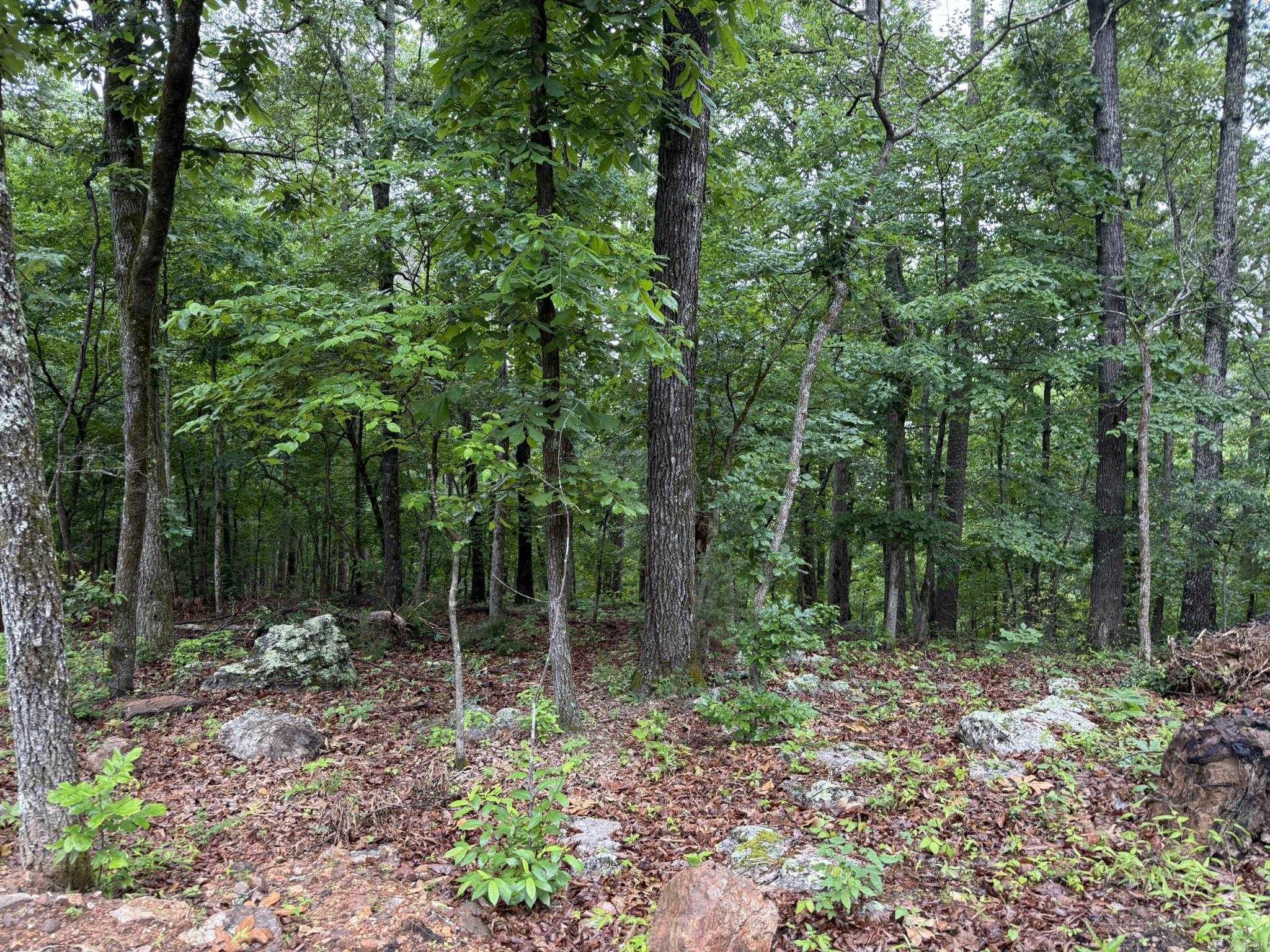 37 Tall Pine Circle Property Photo 3