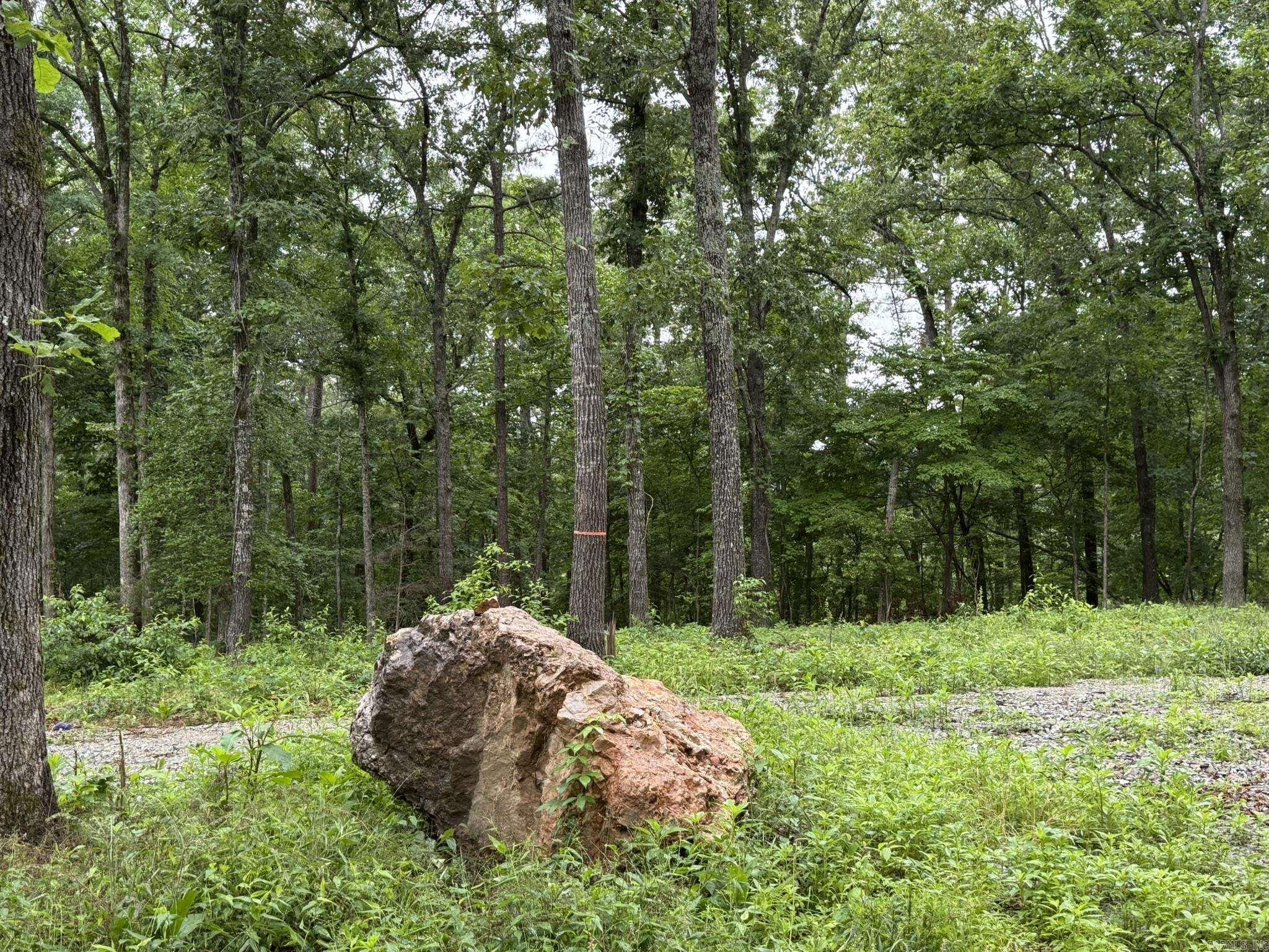 37 Tall Pine Circle Property Photo 5