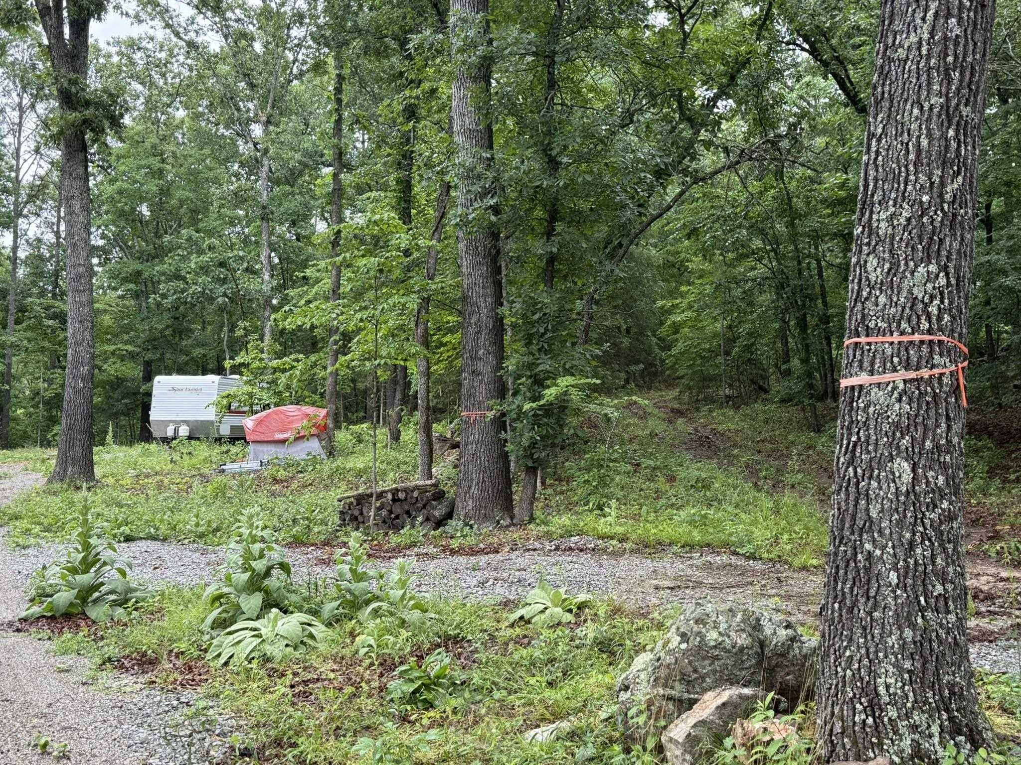 37 Tall Pine Circle Property Photo 6