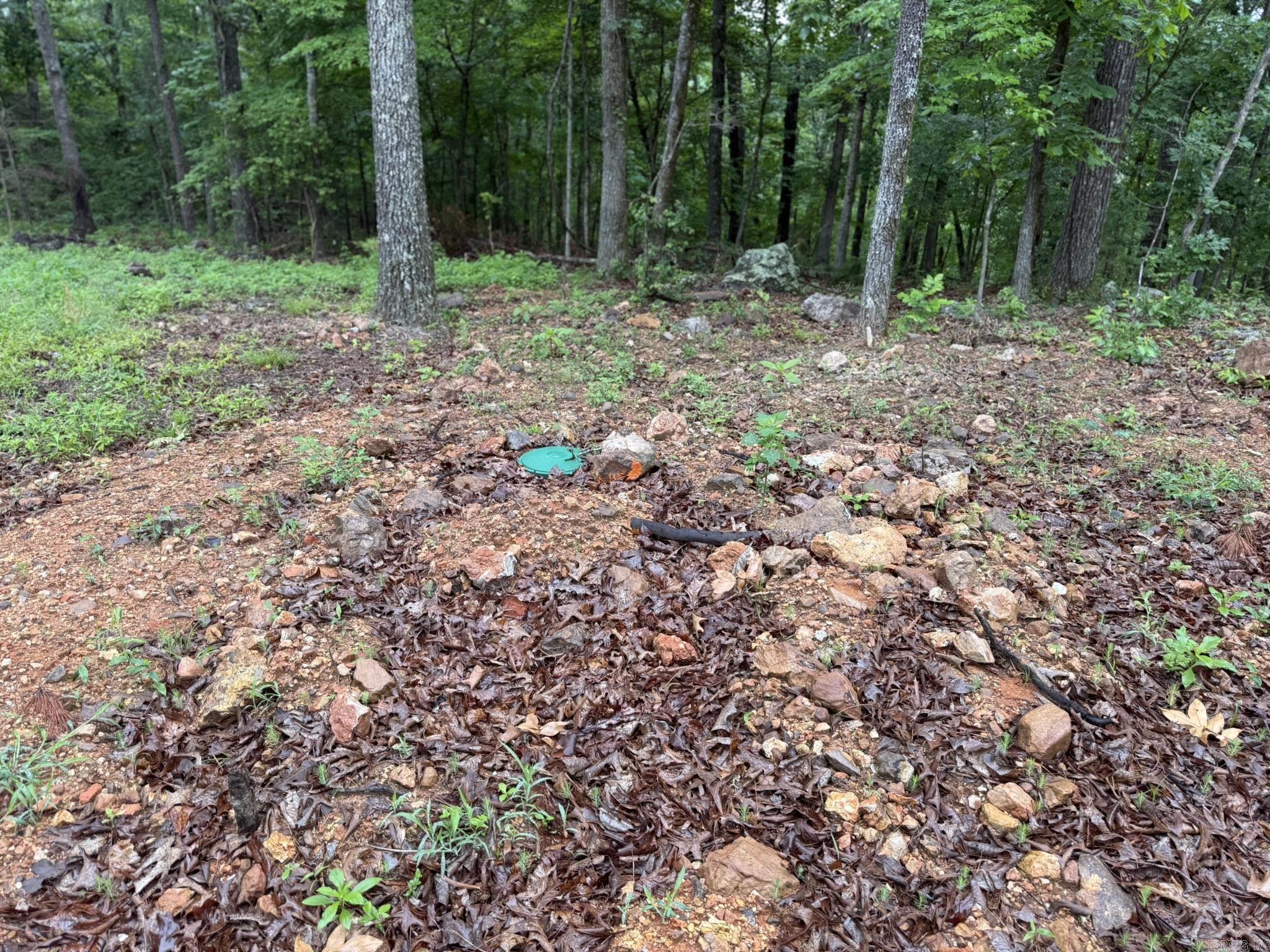 37 Tall Pine Circle Property Photo 8