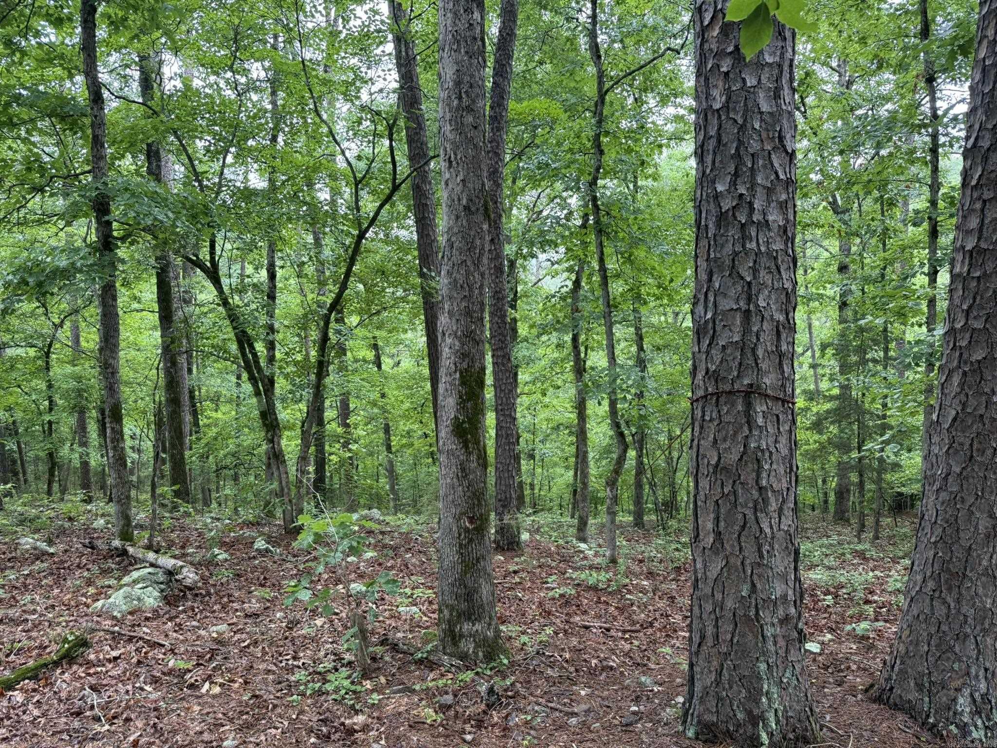 37 Tall Pine Circle Property Photo 9