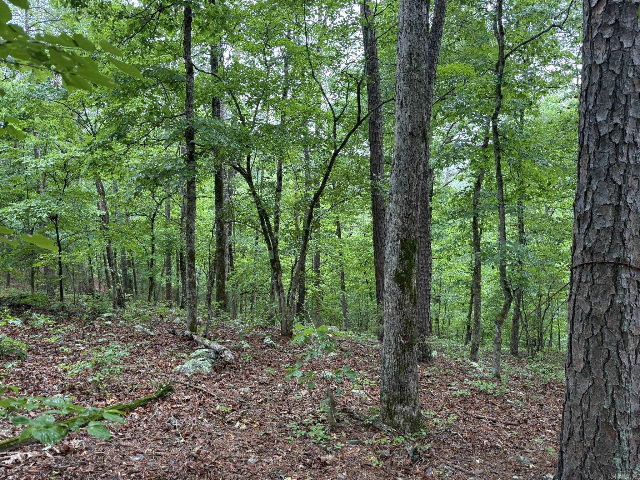 37 Tall Pine Circle Property Photo 10