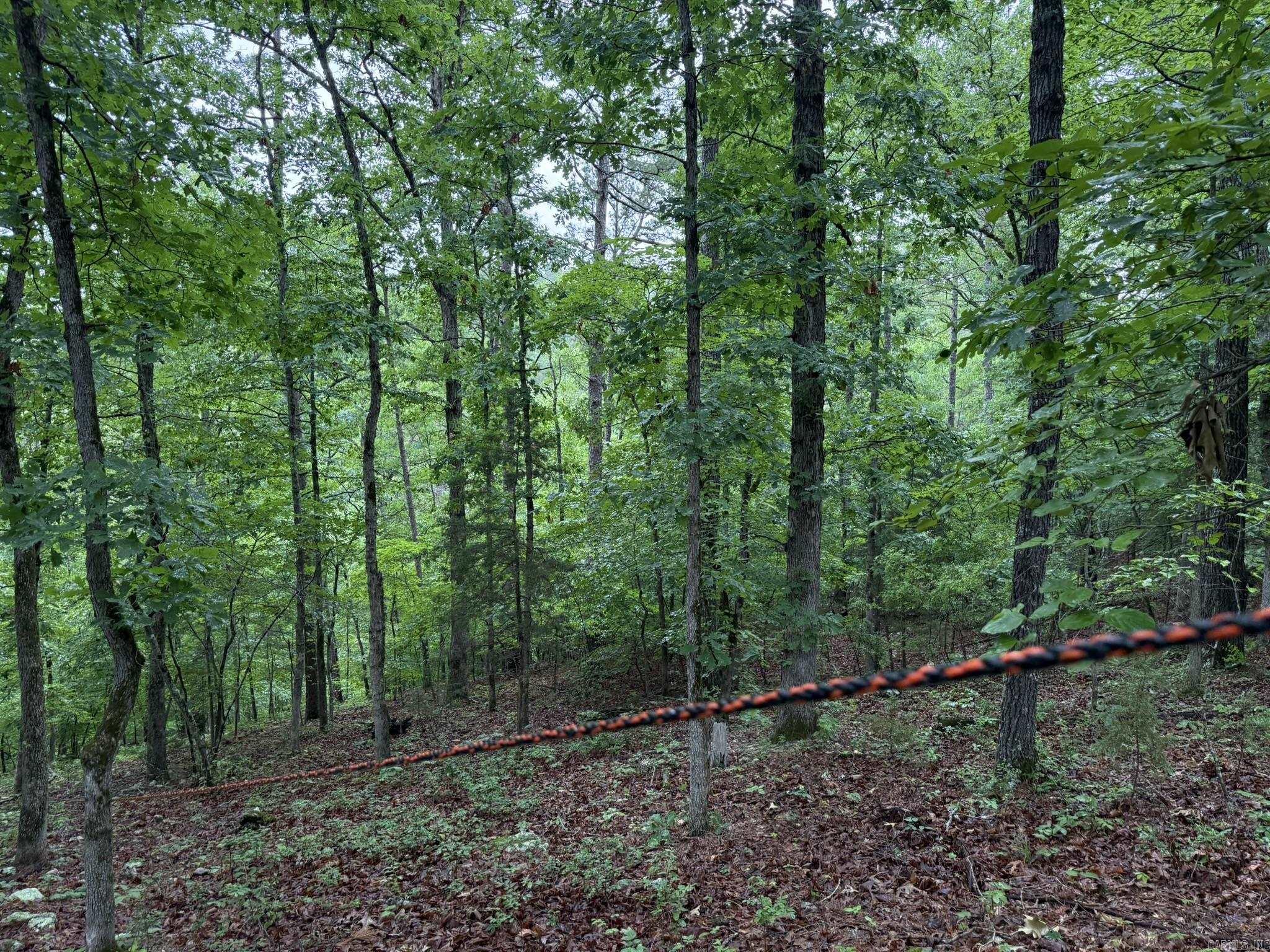 37 Tall Pine Circle Property Photo 11