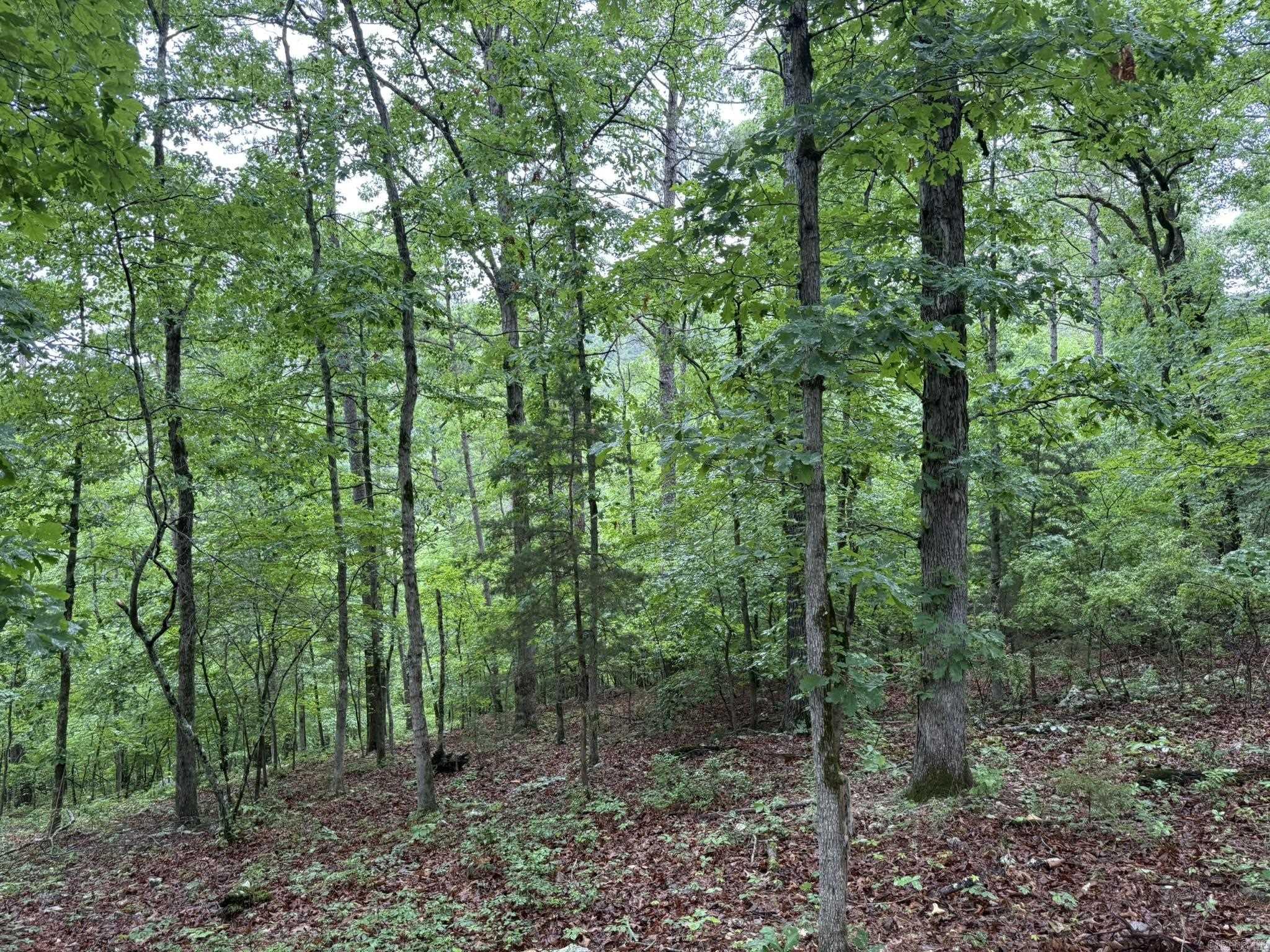 37 Tall Pine Circle Property Photo 12