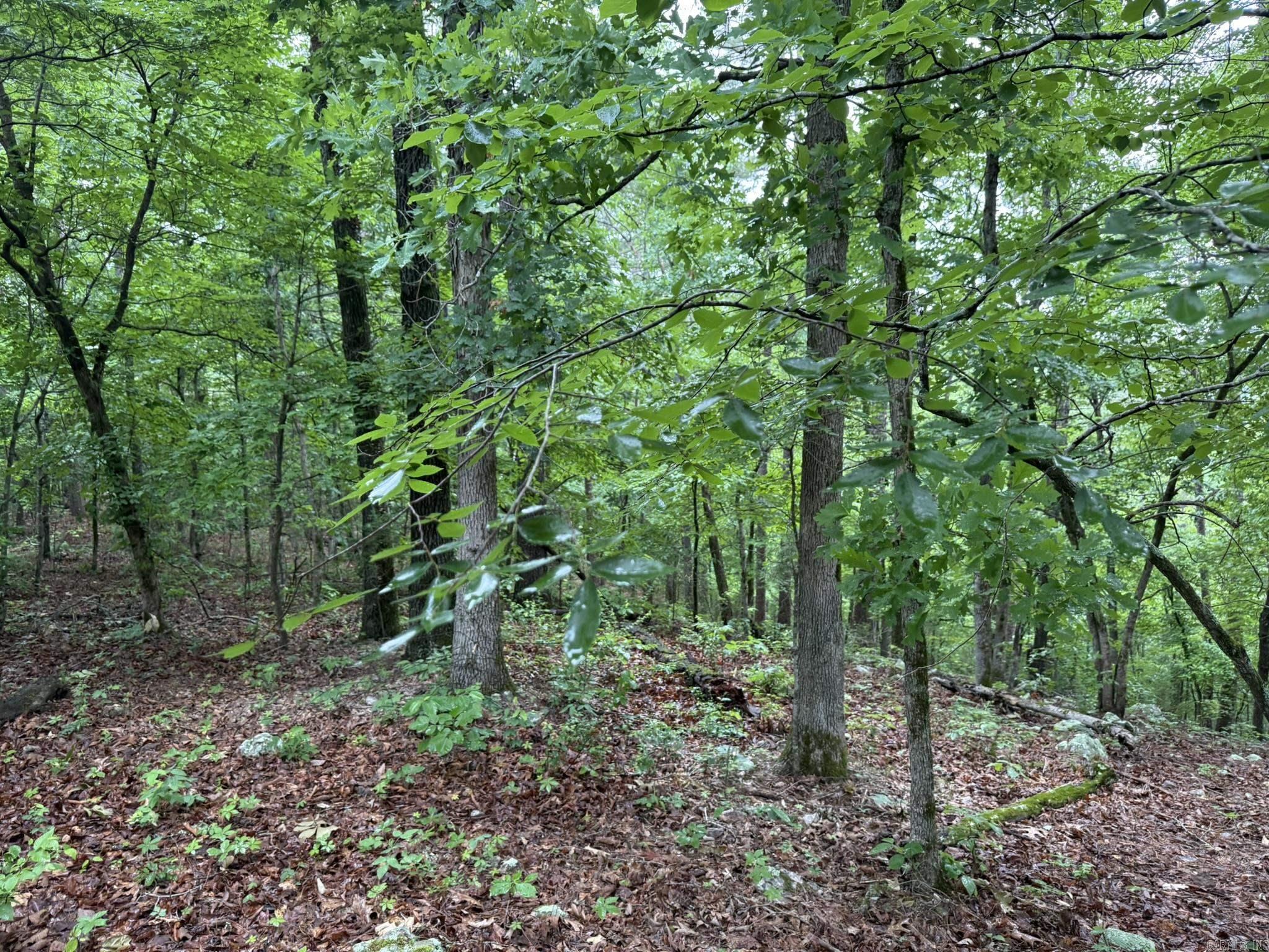 37 Tall Pine Circle Property Photo 13