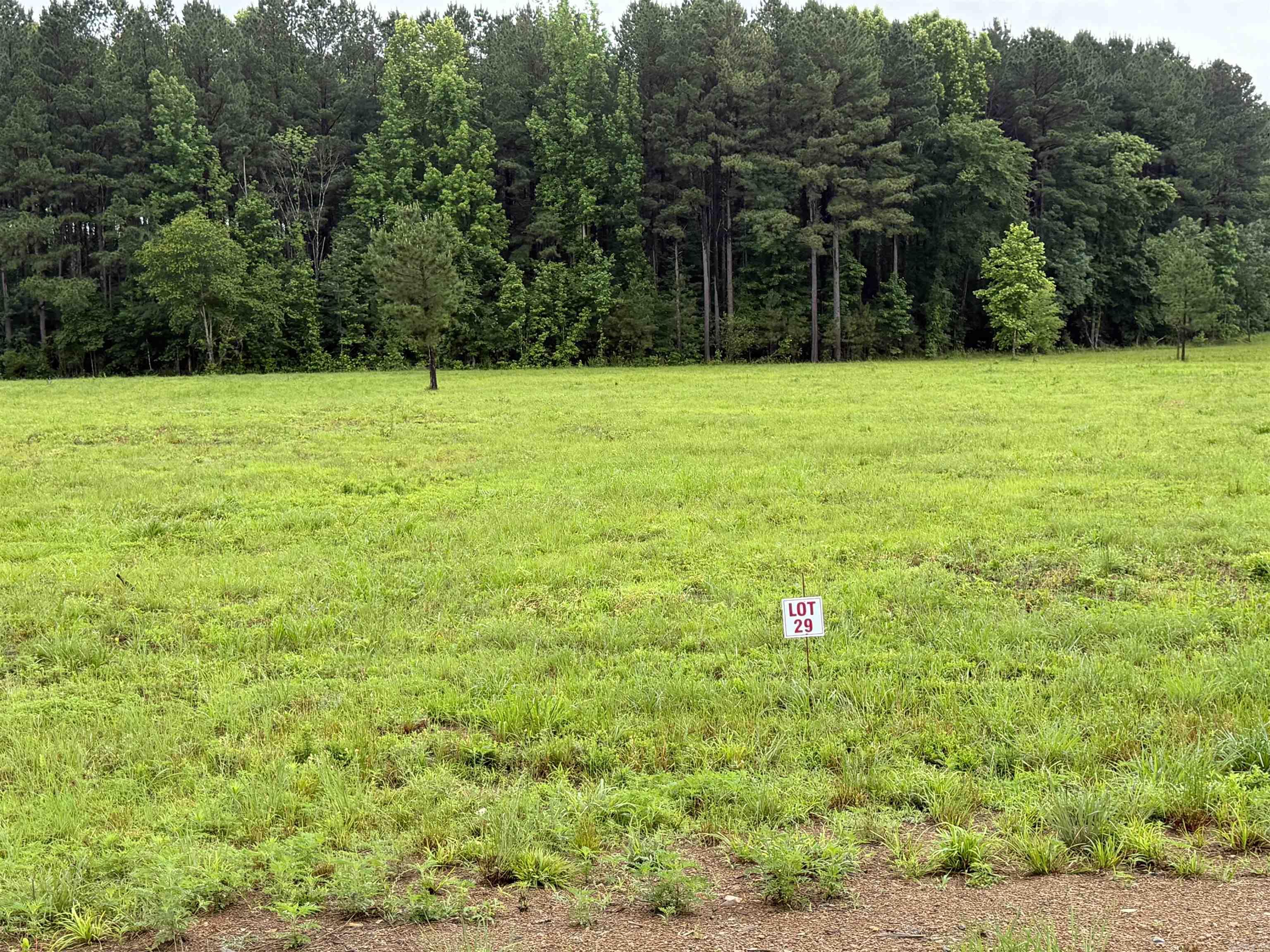 Lot 10-29 Old River Rd Property Photo 3