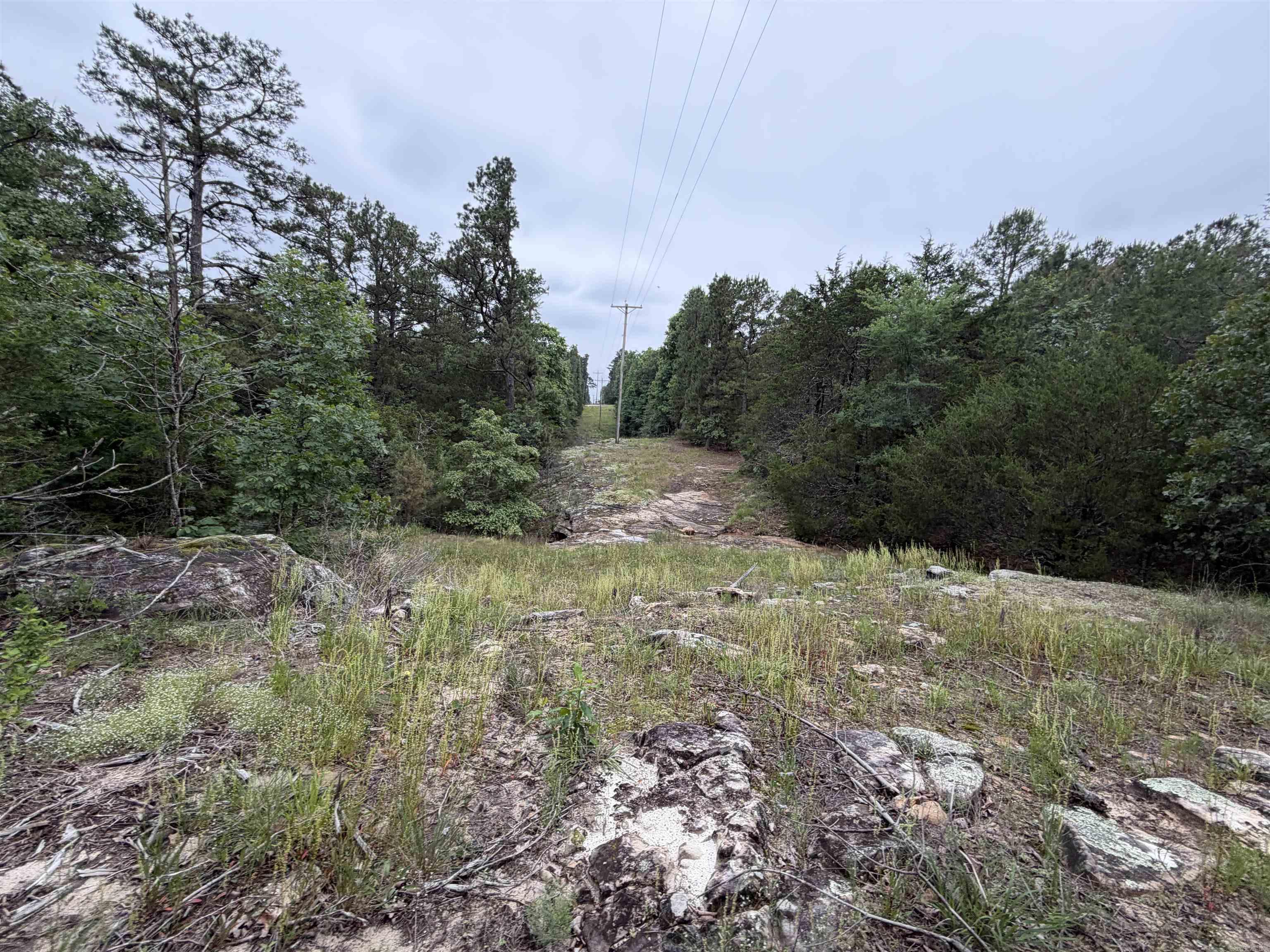 1031 Old Dolph Road Property Photo 1