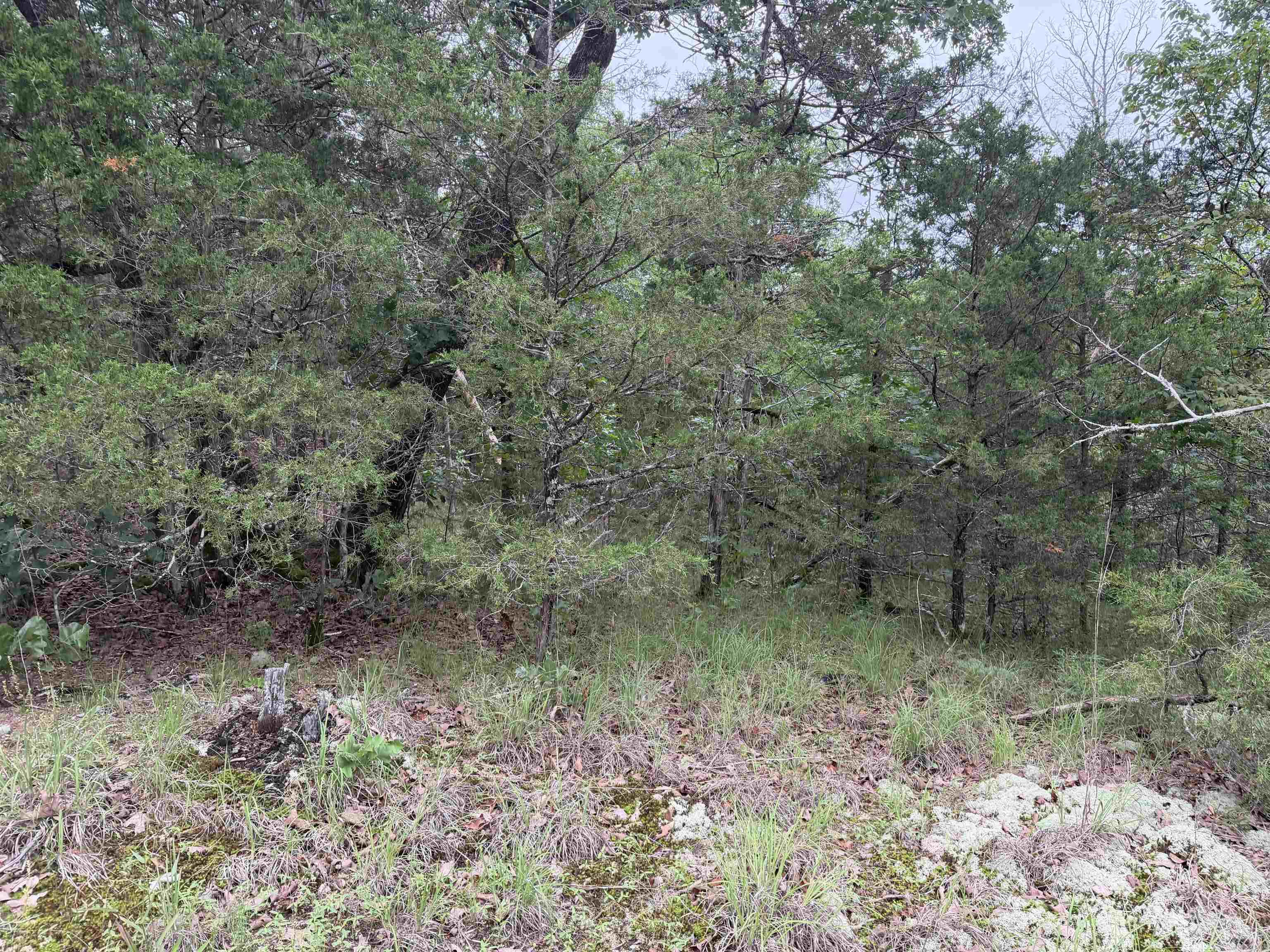 1031 Old Dolph Road Property Photo 2