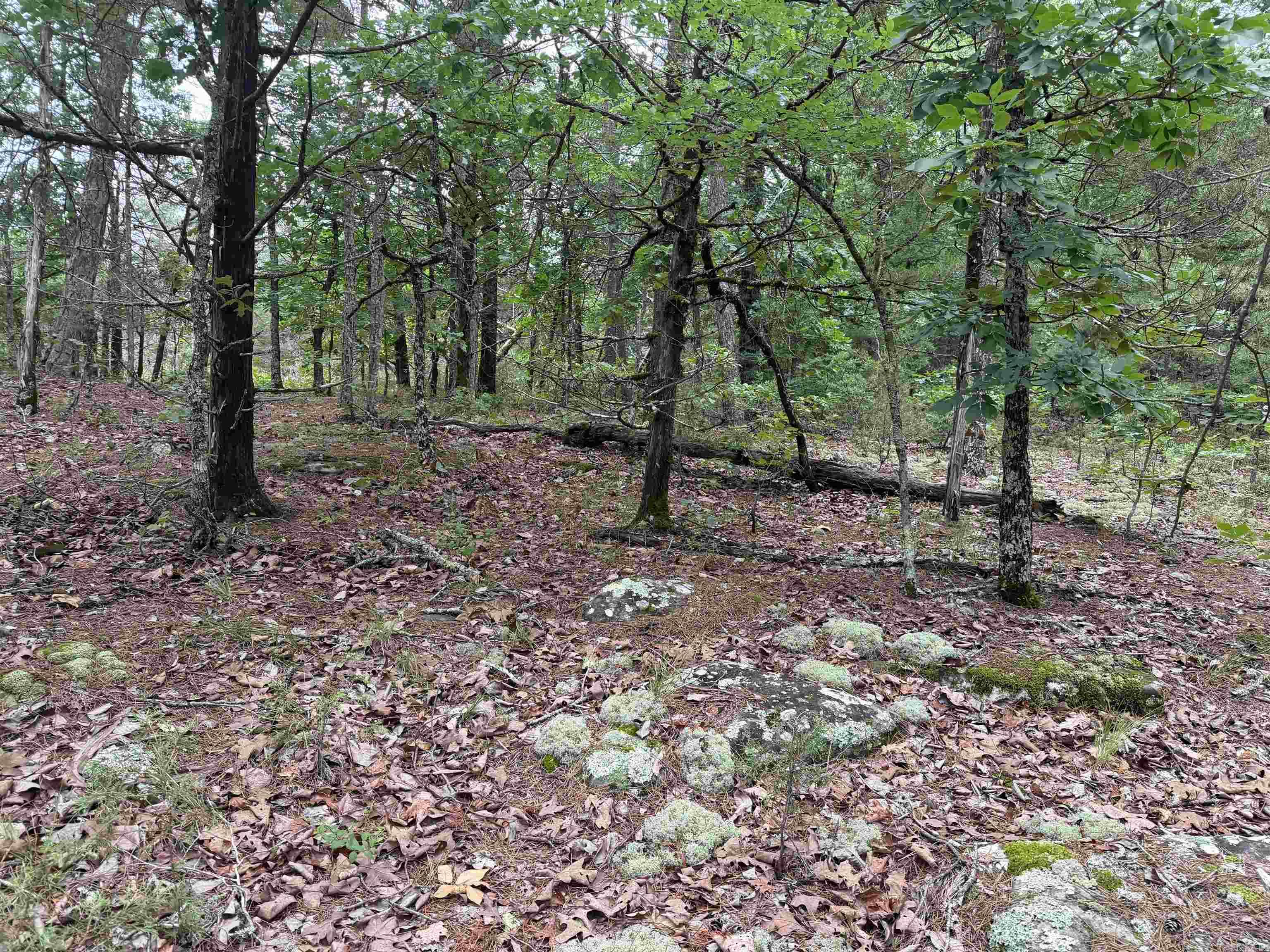 1031 Old Dolph Road Property Photo 4