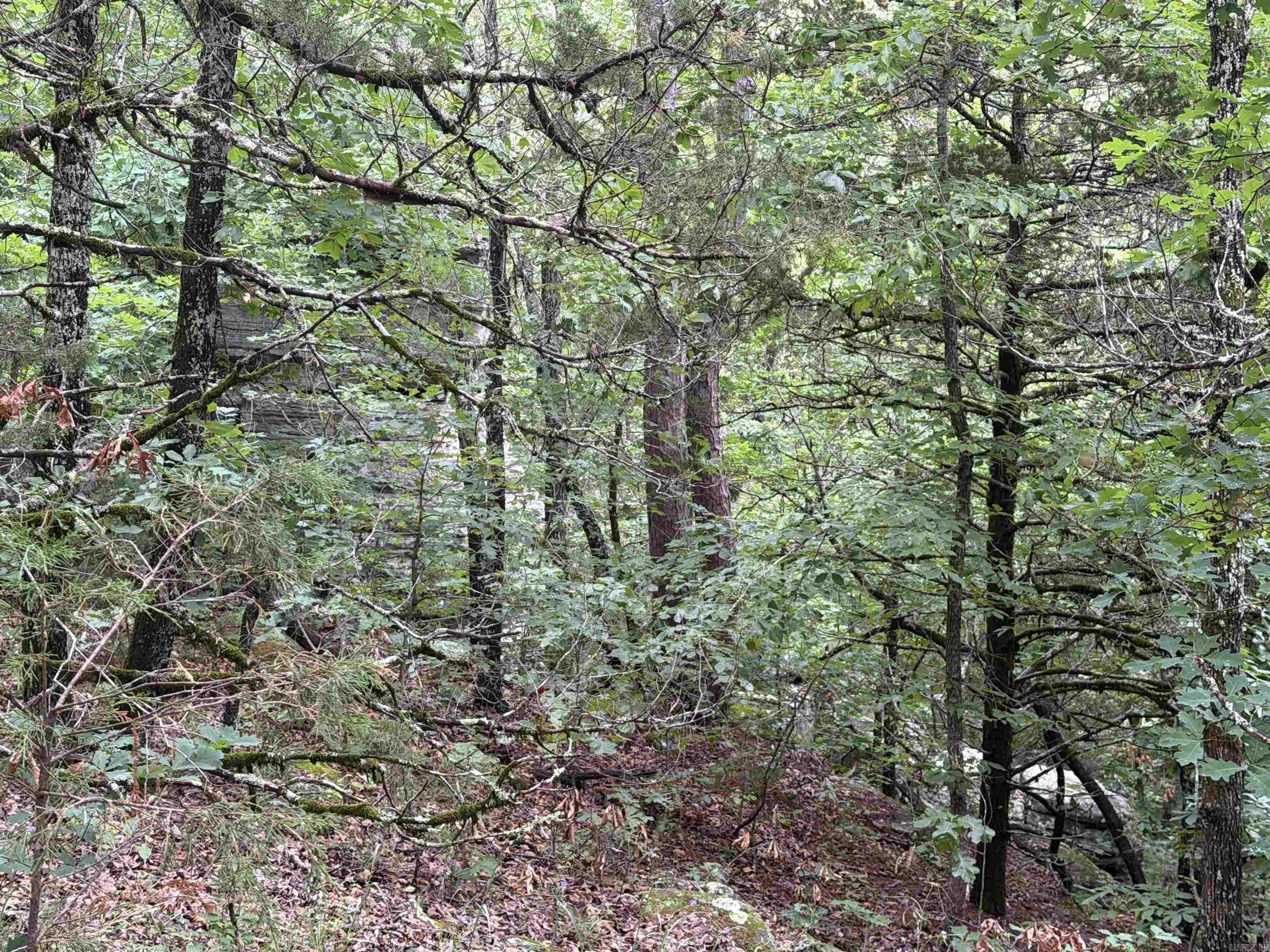 1031 Old Dolph Road Property Photo 7