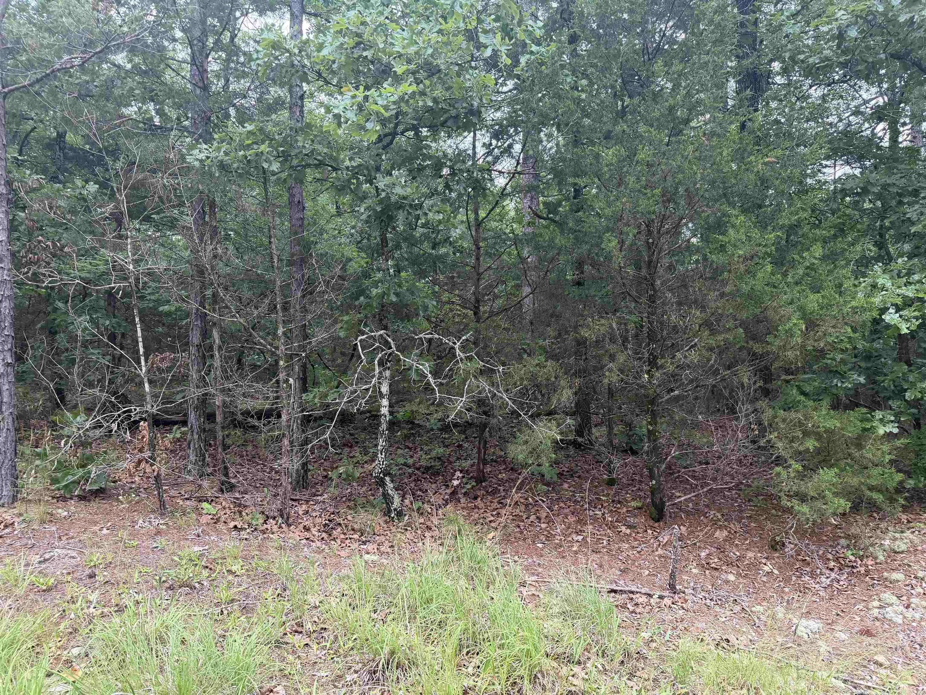 1031 Old Dolph Road Property Photo 21