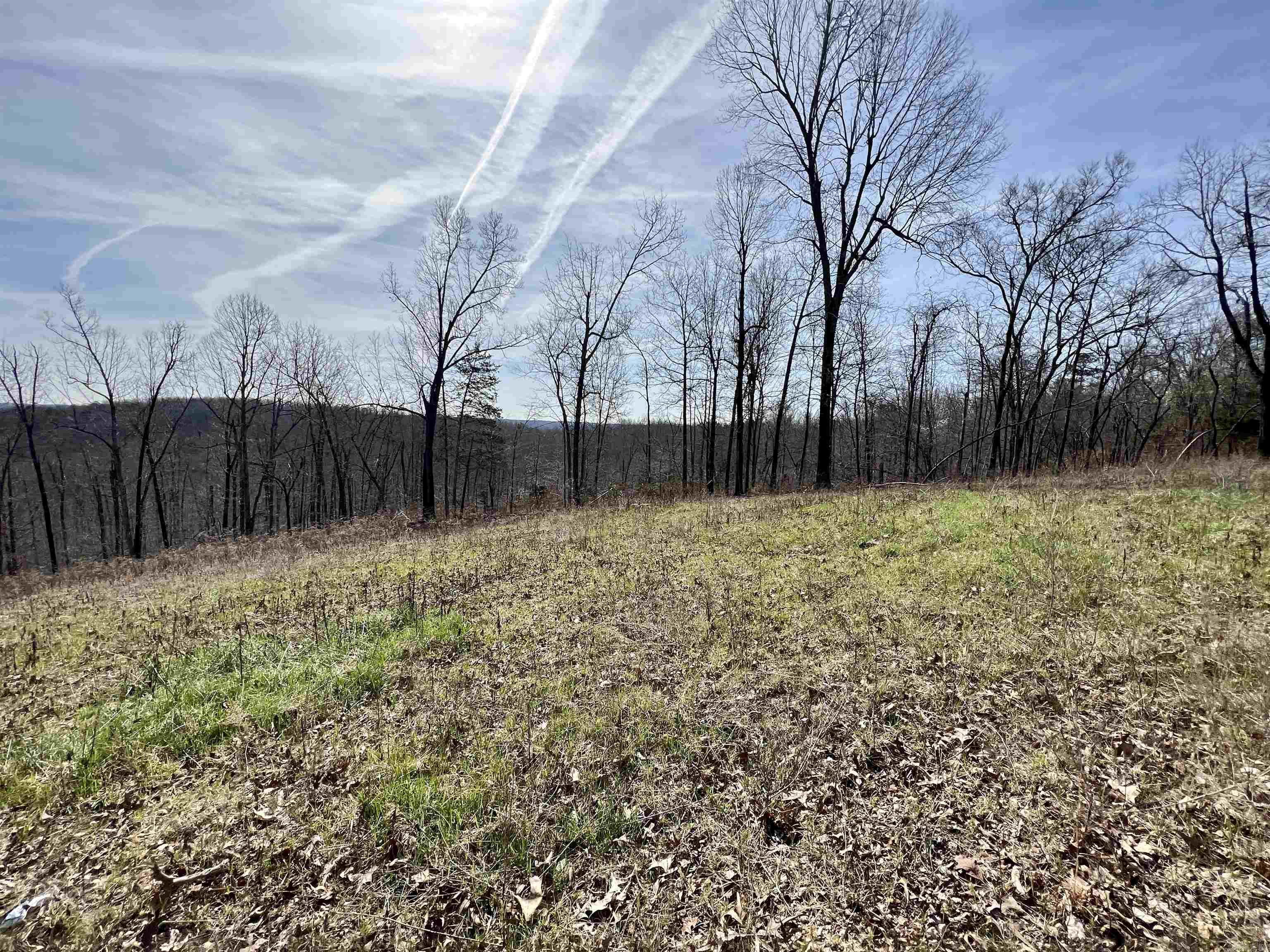 Tract 4 Ramblewood Trail Property Photo 1