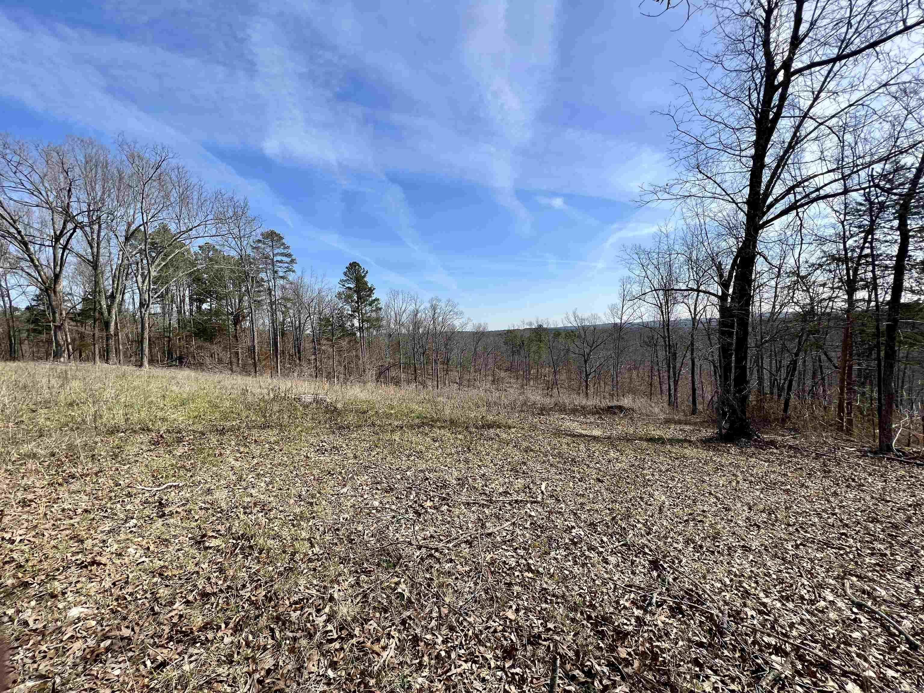 Tract 4 Ramblewood Trail Property Photo 2