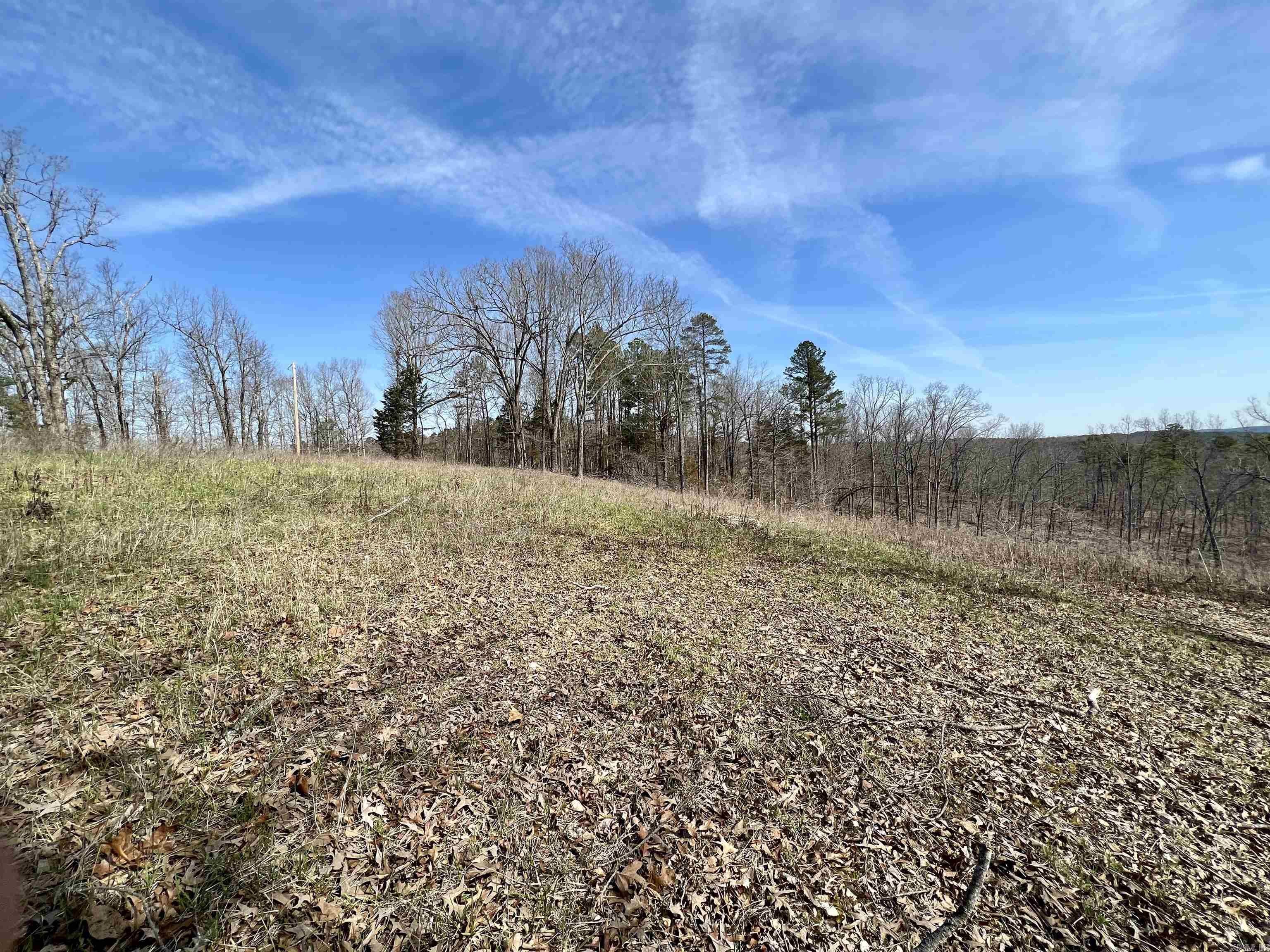 Tract 4 Ramblewood Trail Property Photo 3