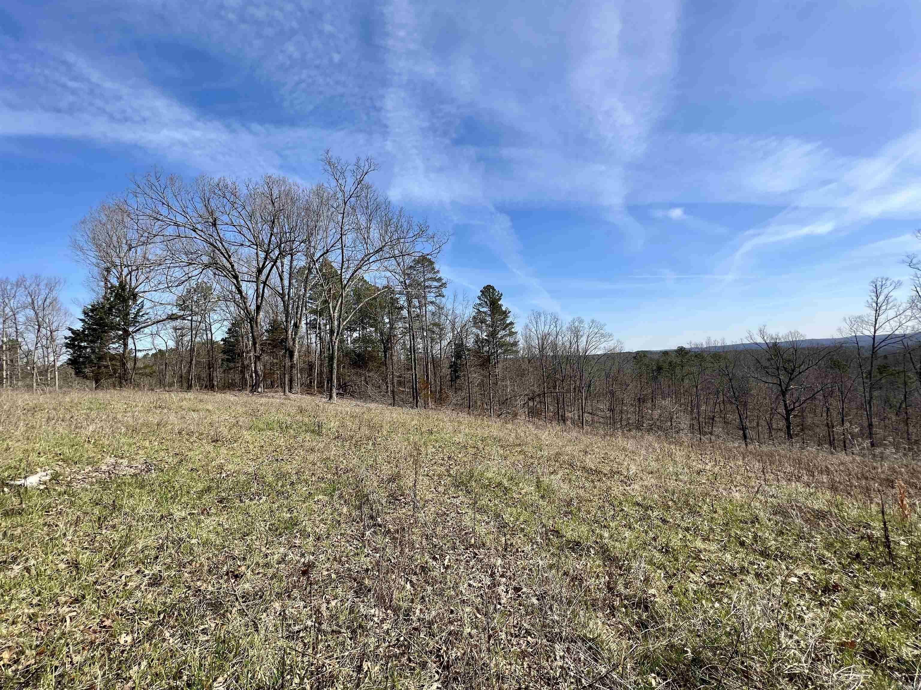 Tract 4 Ramblewood Trail Property Photo 4