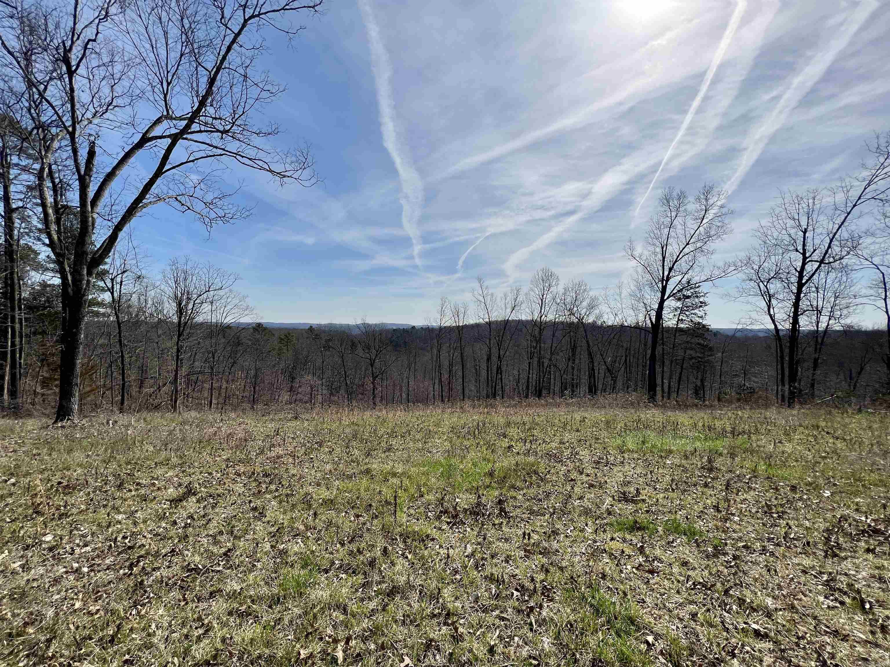 Tract 4 Ramblewood Trail Property Photo 7