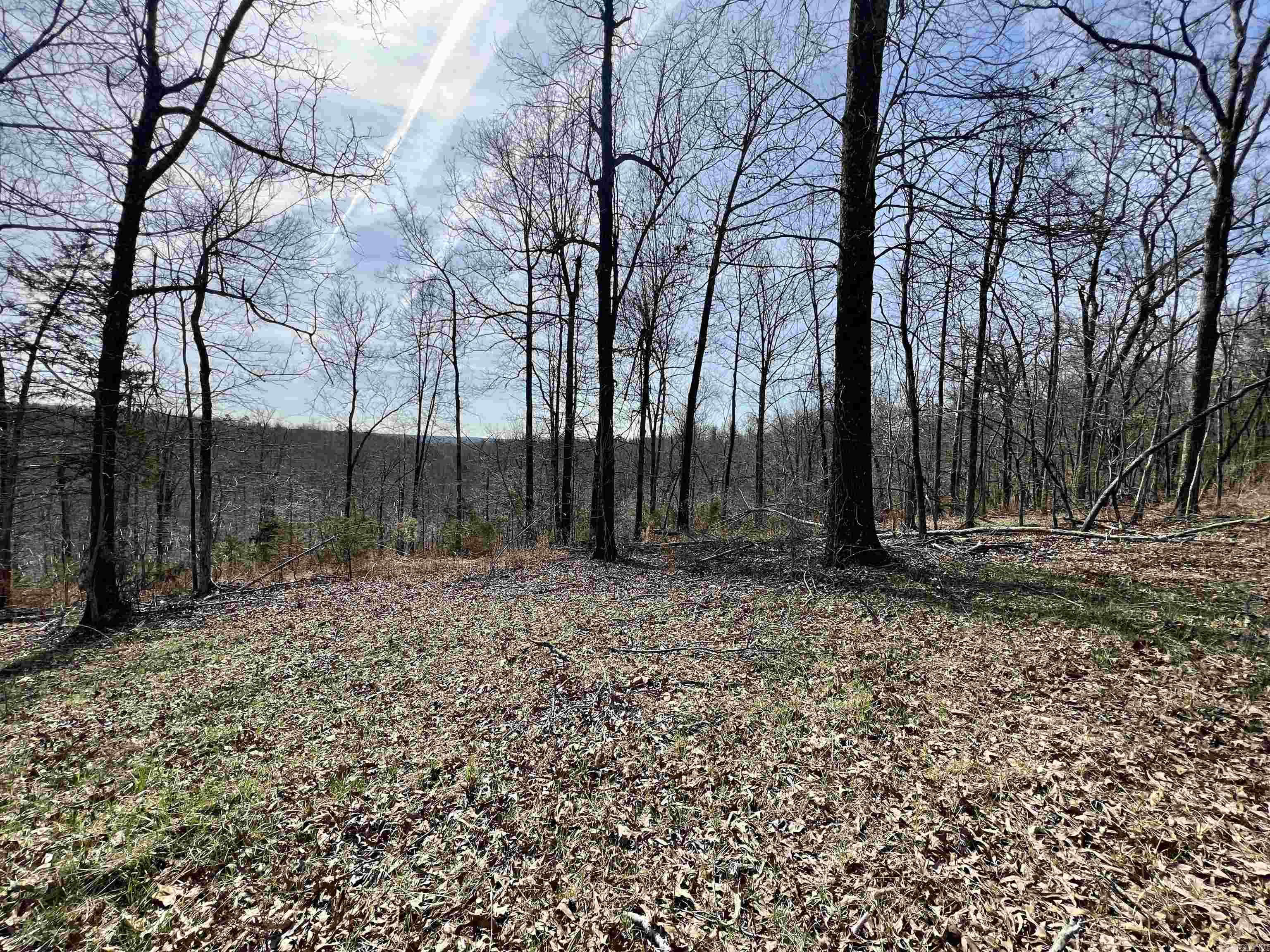 Tract 4 Ramblewood Trail Property Photo 8