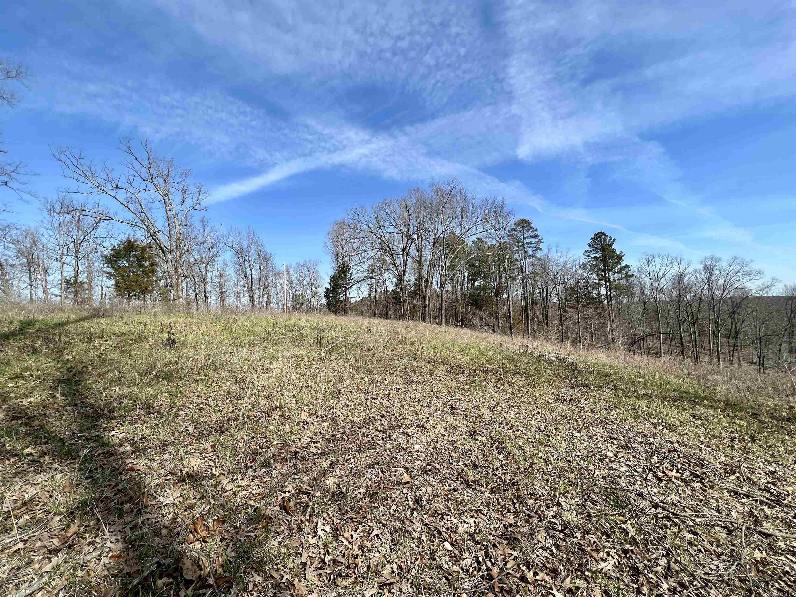 Tract 4 Ramblewood Trail Property Photo 9