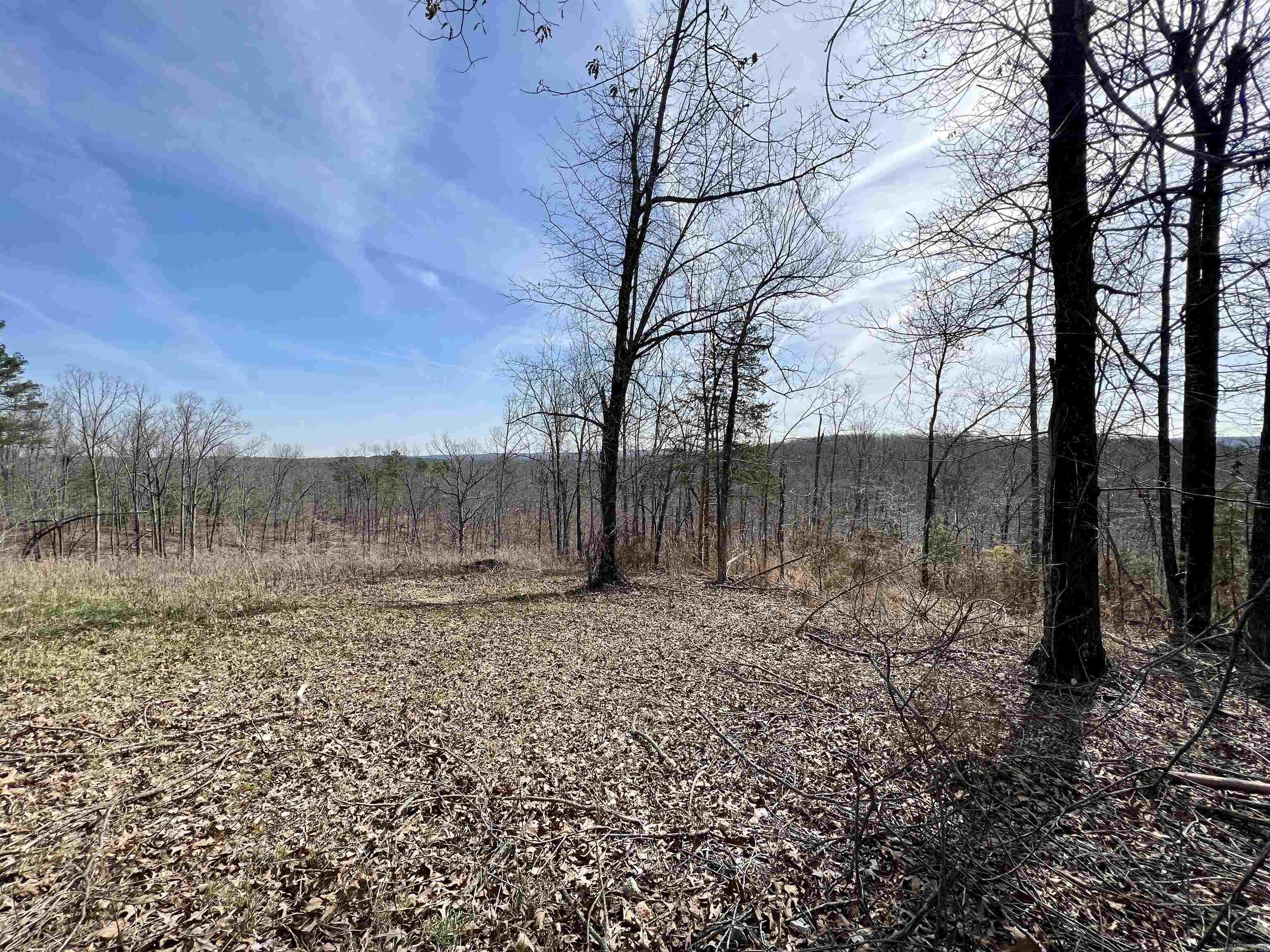 Tract 4 Ramblewood Trail Property Photo 10