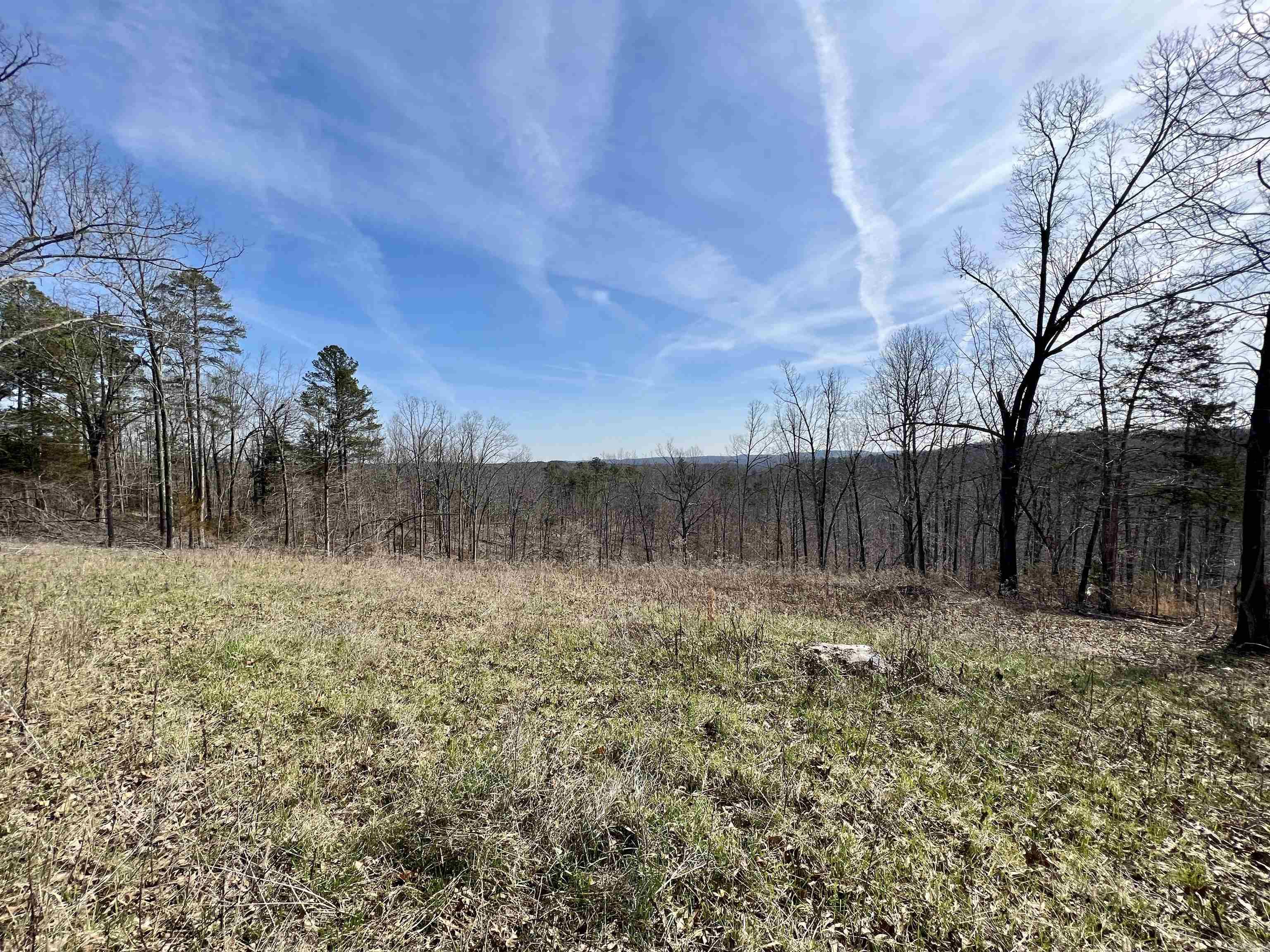 Tract 4 Ramblewood Trail Property Photo 11