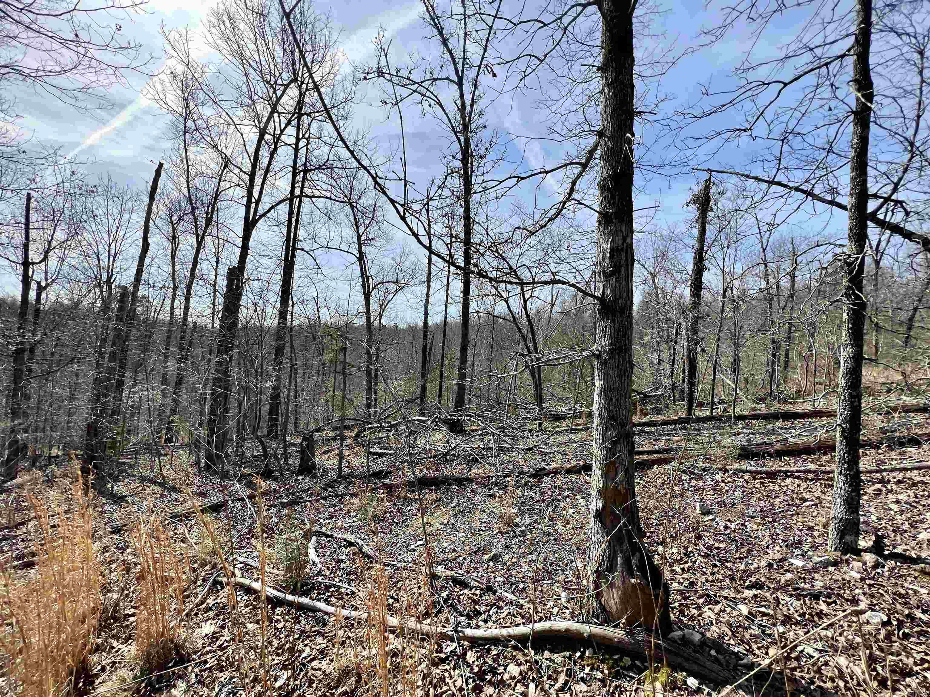 Tract 4 Ramblewood Trail Property Photo 12